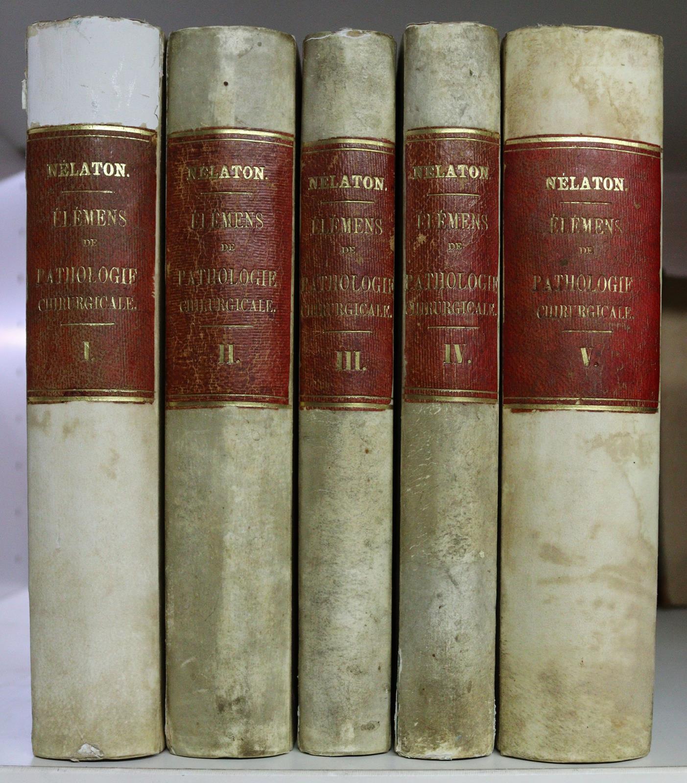 Siebold,E.C.J.v. | Bild Nr.11