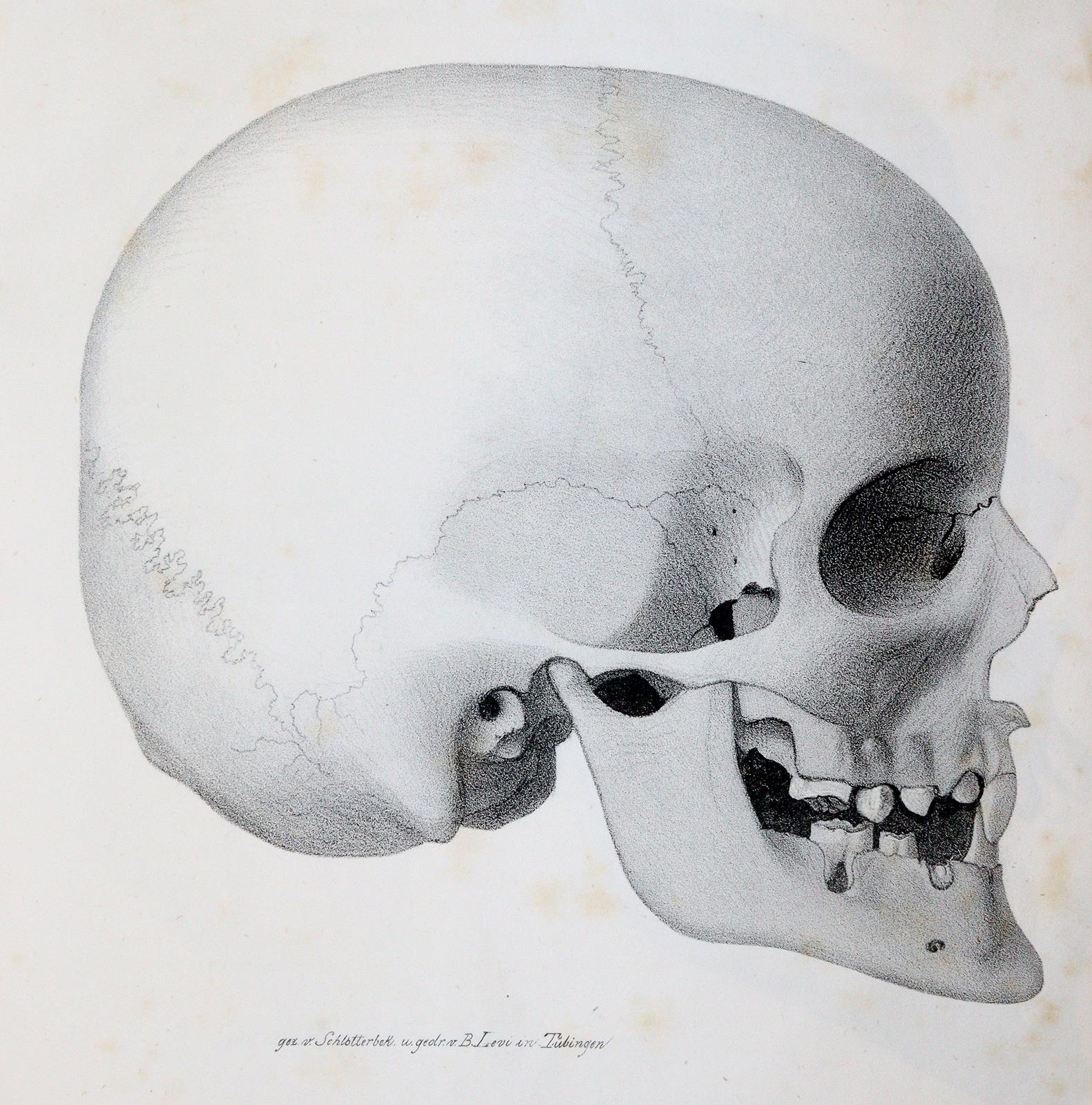 Hopfengärtner,P.F. | Bild Nr.2