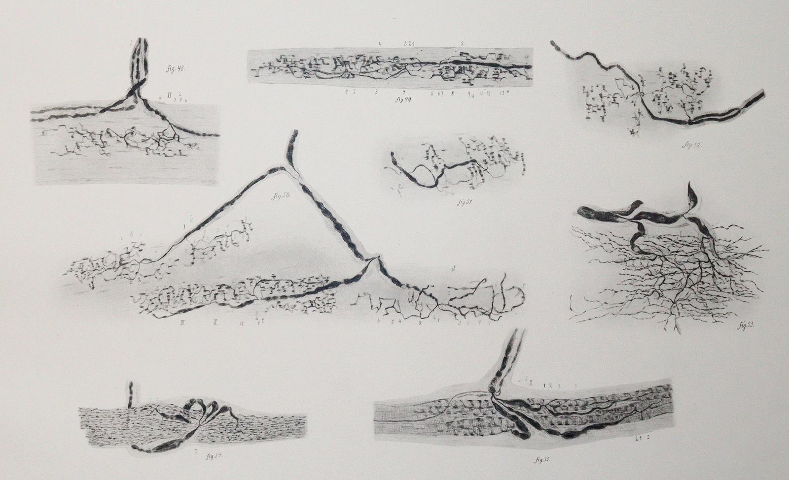 Kerschner,L. | Bild Nr.3