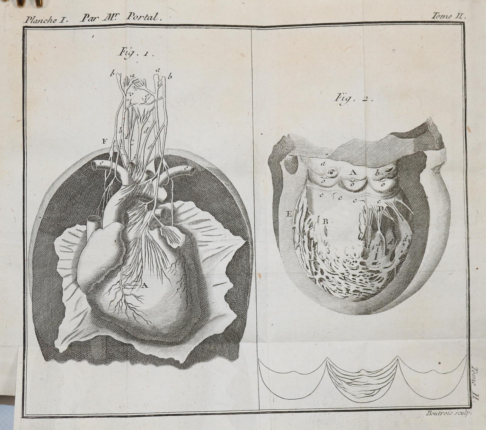 Petit,(J.L.). | Bild Nr.3