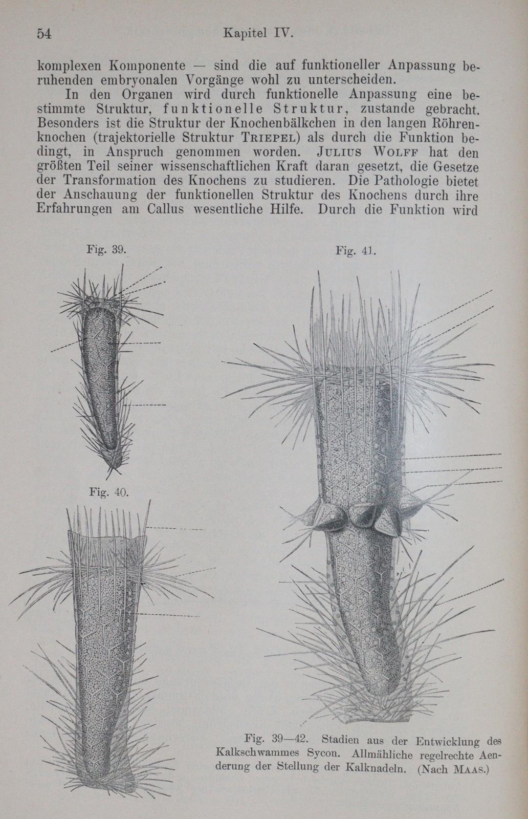 Sammlung | Bild Nr.2