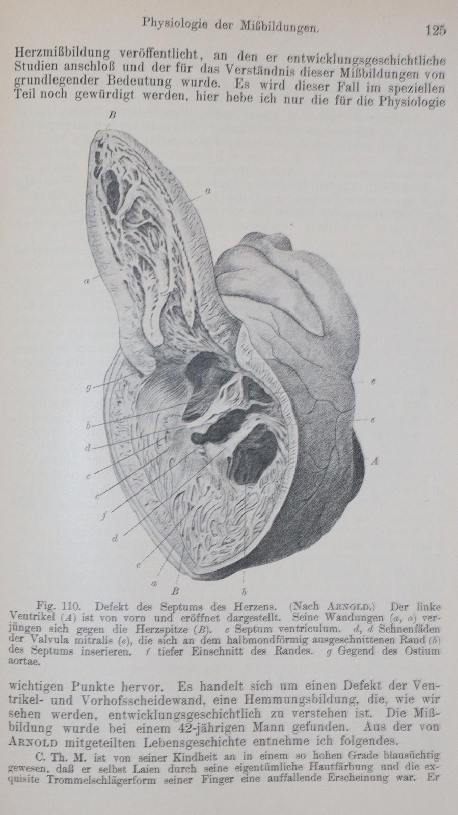 Sammlung | Bild Nr.3