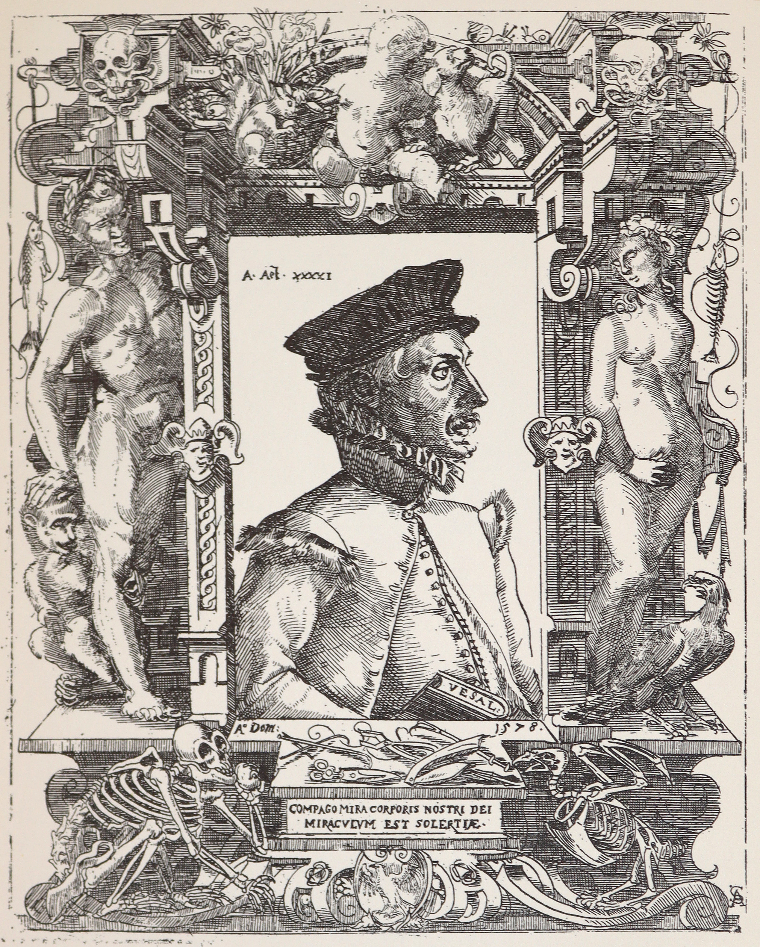 Sammlung | Bild Nr.2