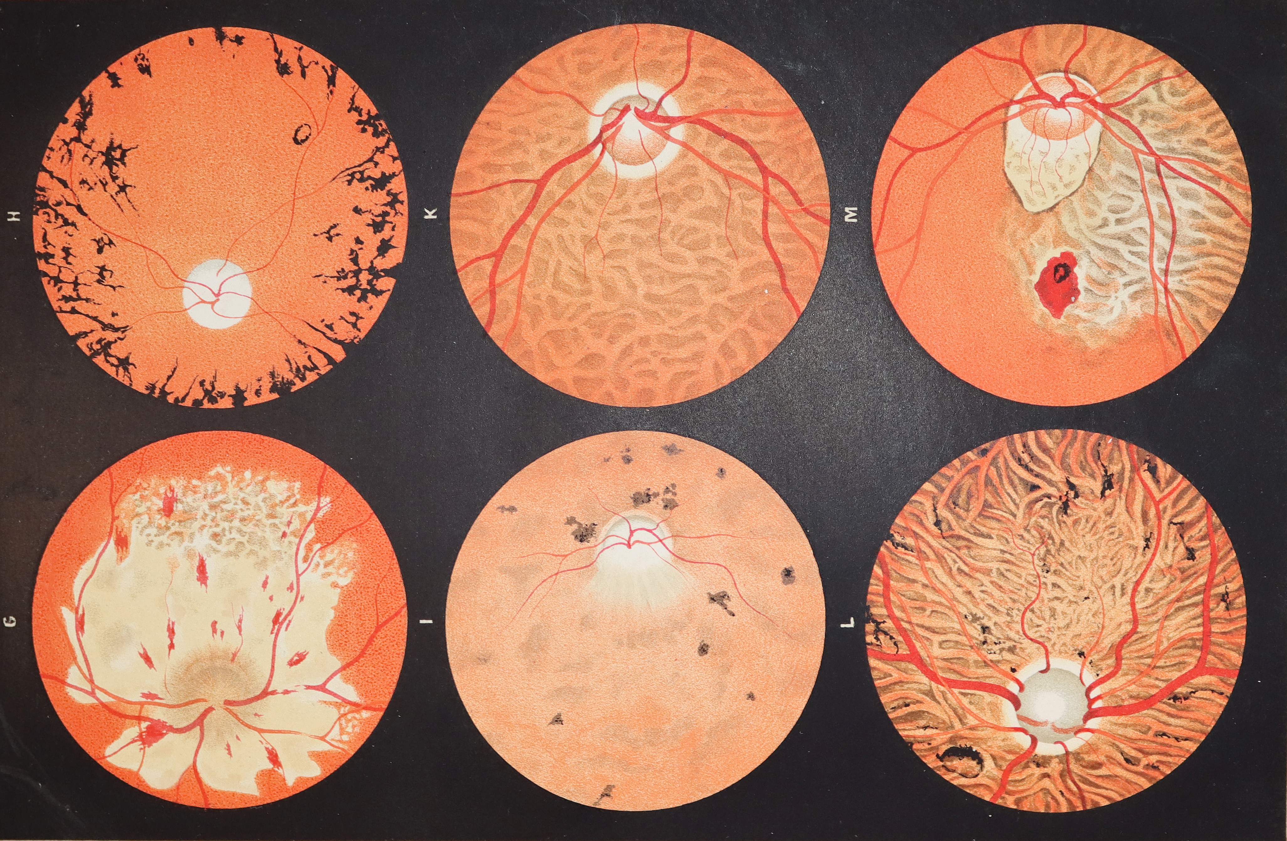 Sammlung | Bild Nr.4