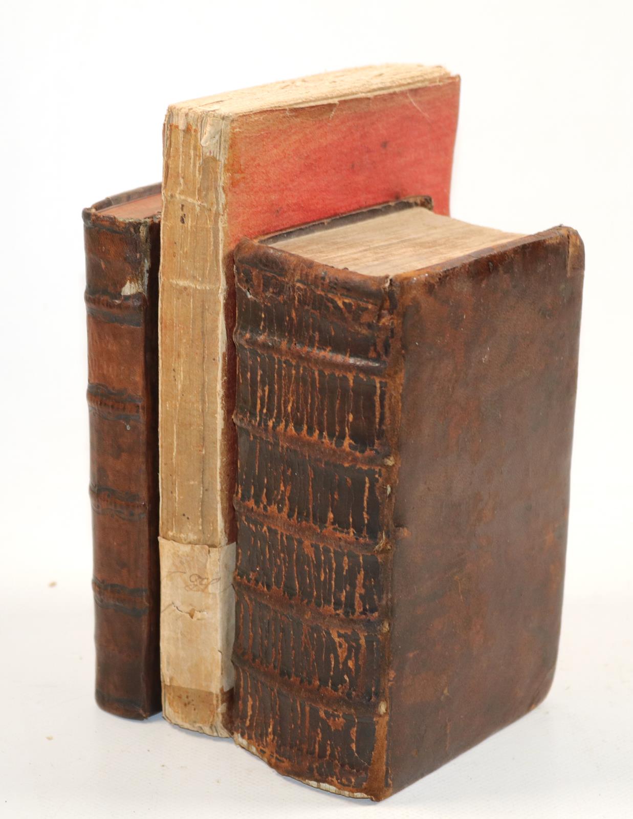 Zwinger,T. | Bild Nr.3