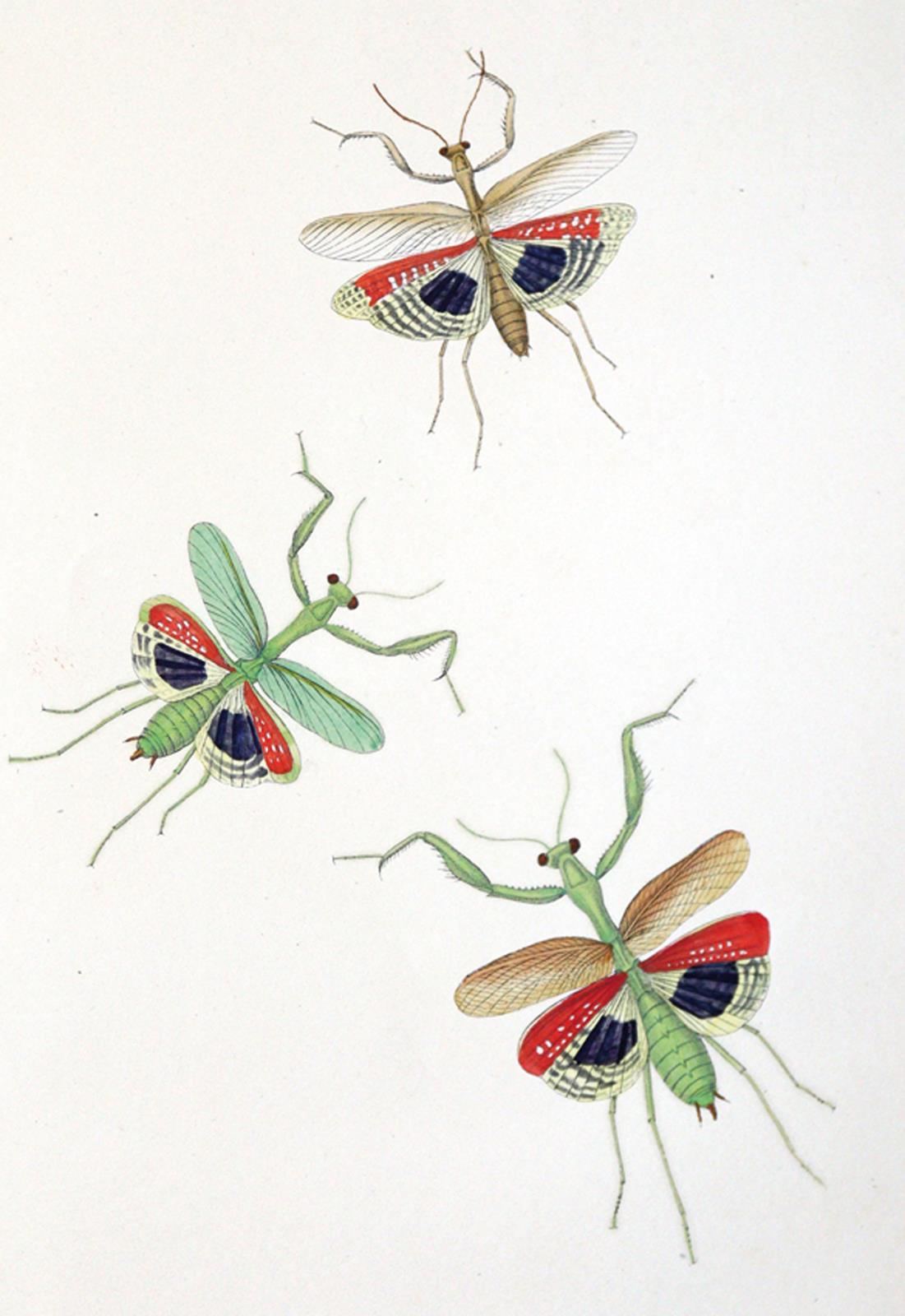 Charpentier,T.v. | Bild Nr.4