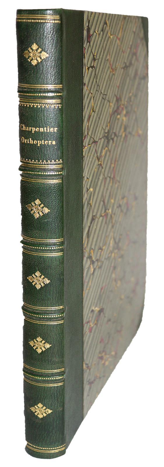 Charpentier,T.v. | Bild Nr.7