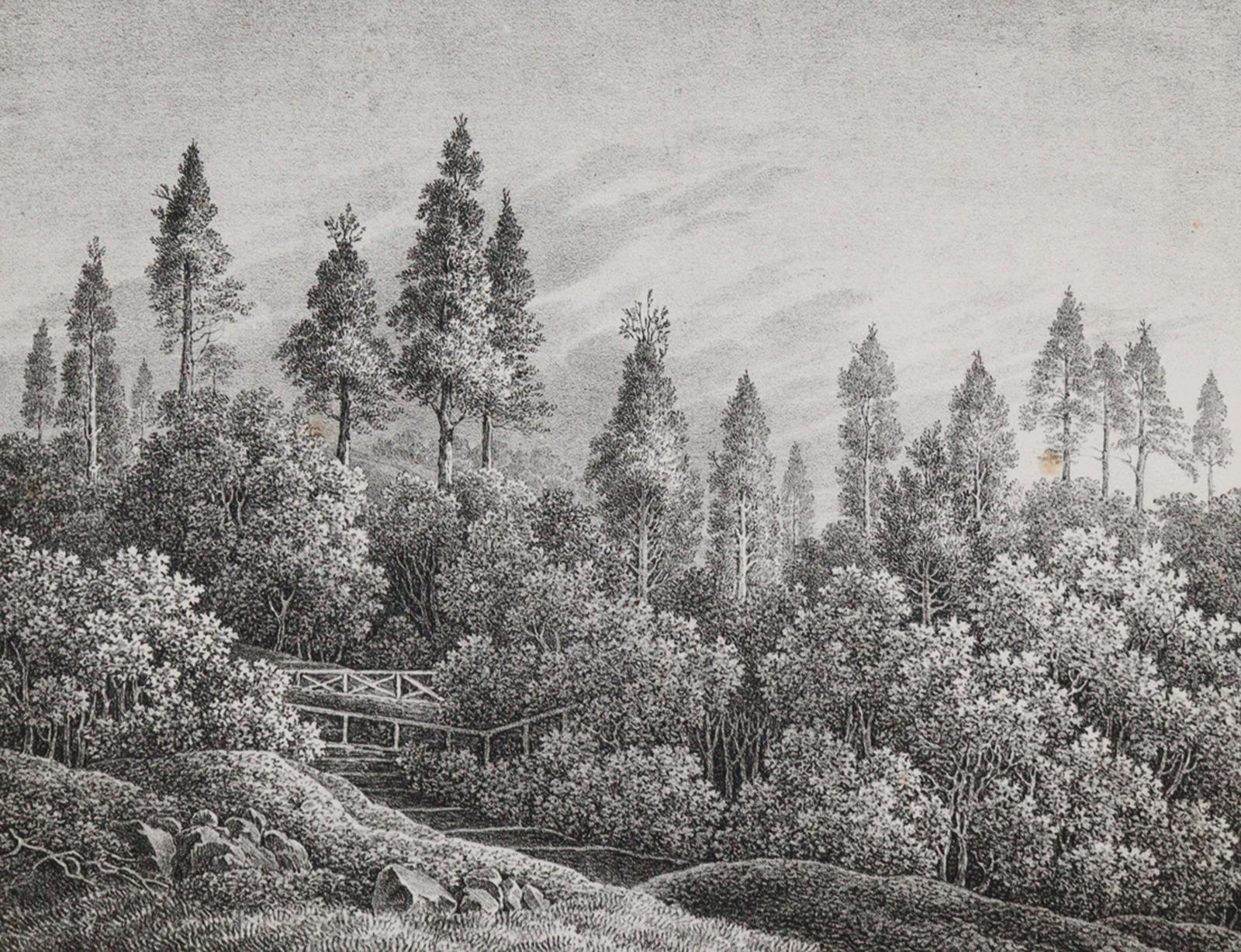 Ratzeburg,J.T.C. | Bild Nr.1