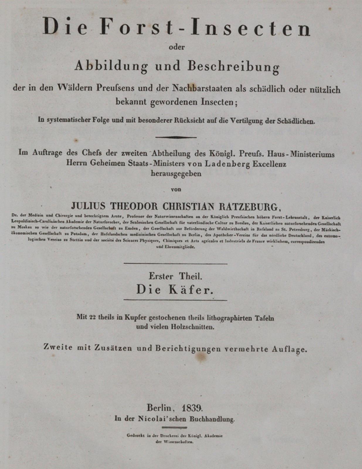 Ratzeburg,J.T.C. | Bild Nr.5