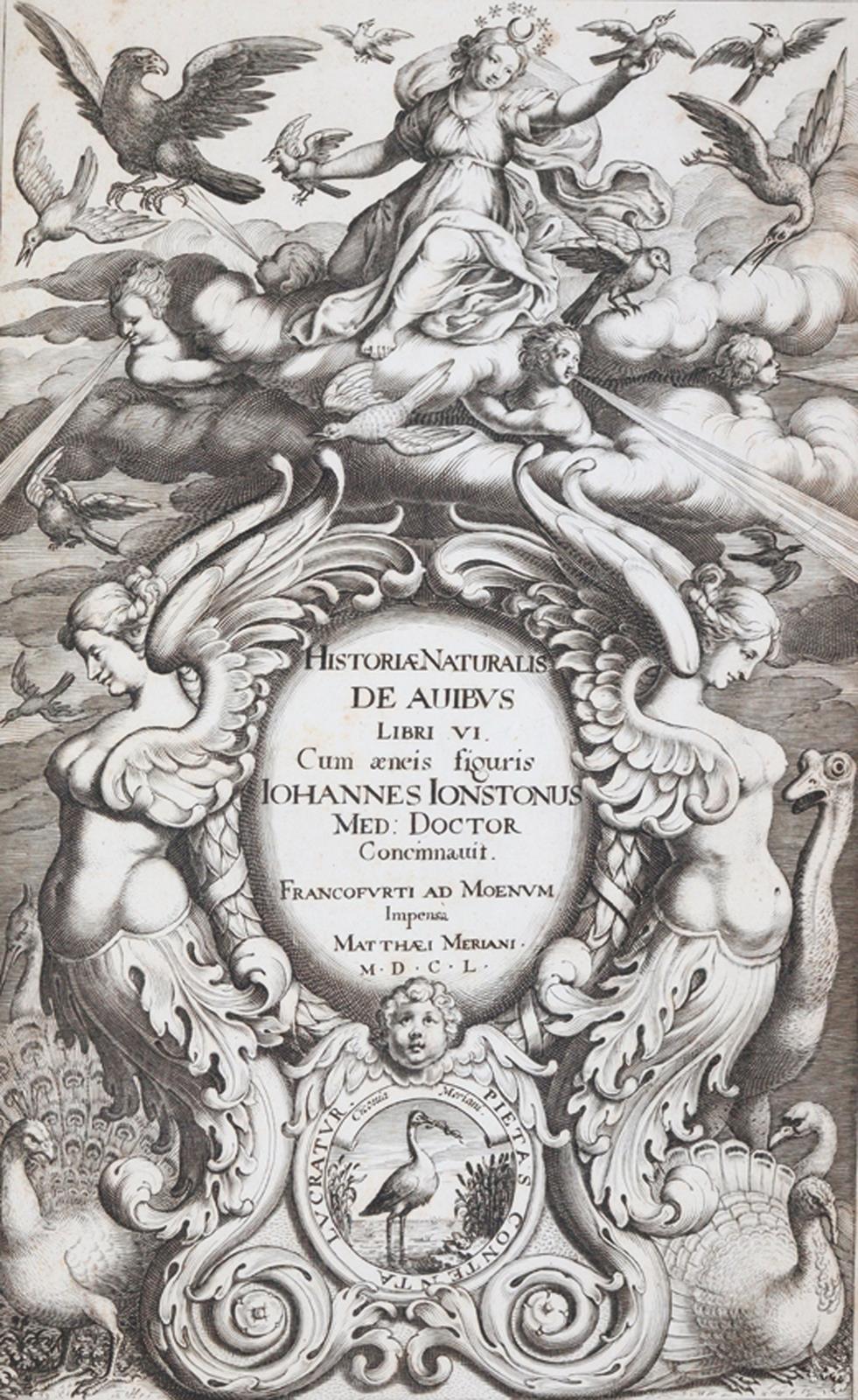 Jonston,J. | Bild Nr.4