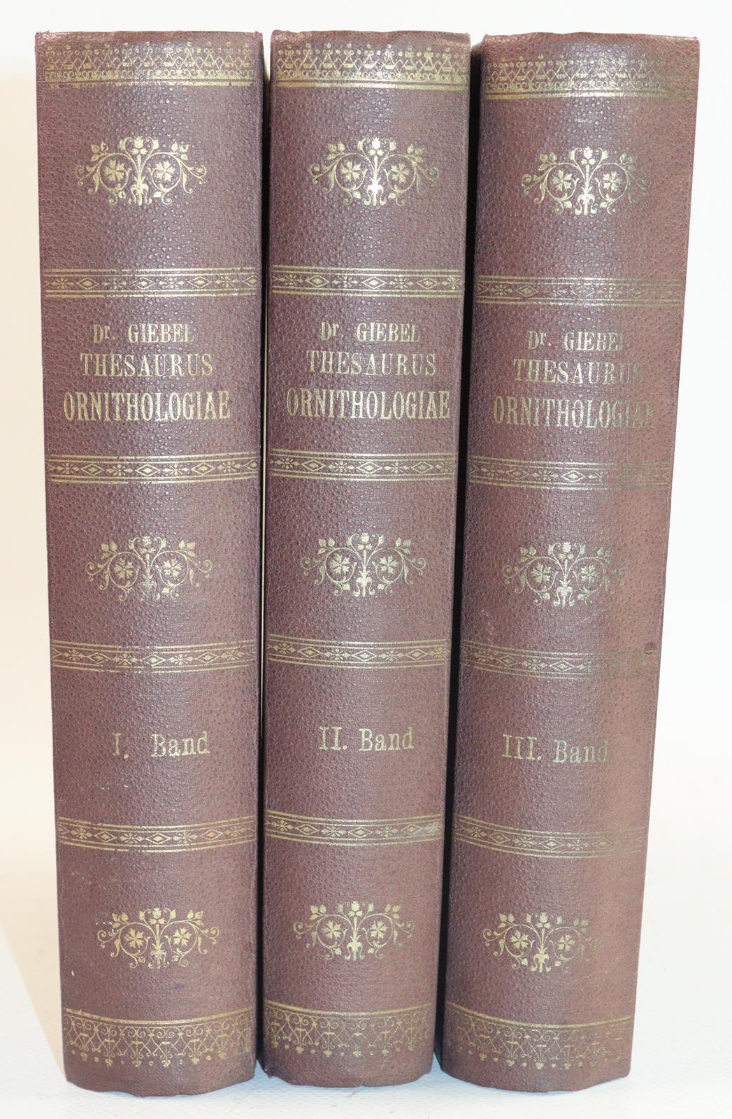 Giebel,C.G. | Bild Nr.2