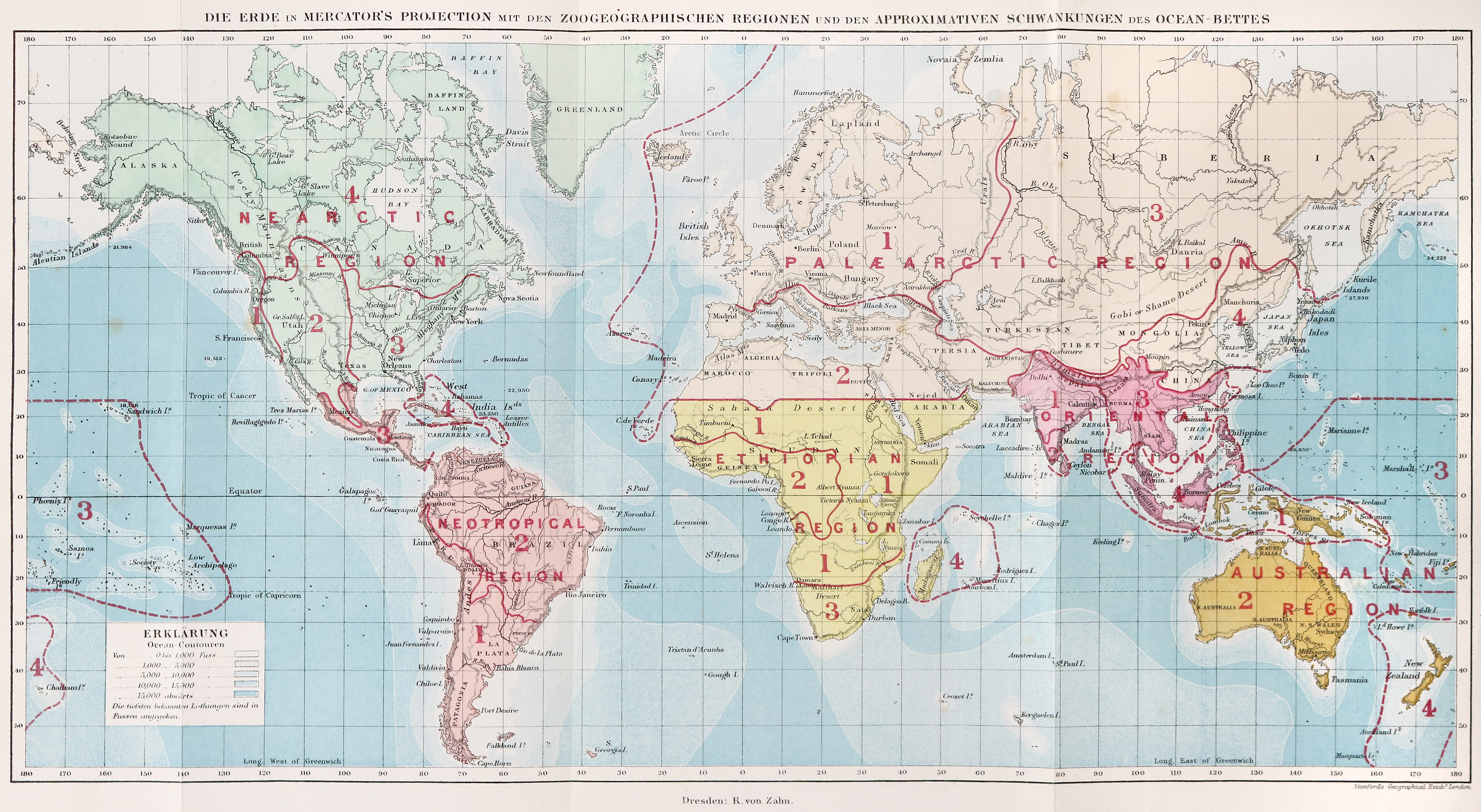Wallace,A.R. | Bild Nr.2