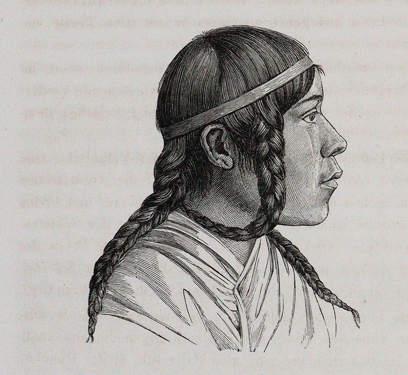 Retzius,A. | Bild Nr.2