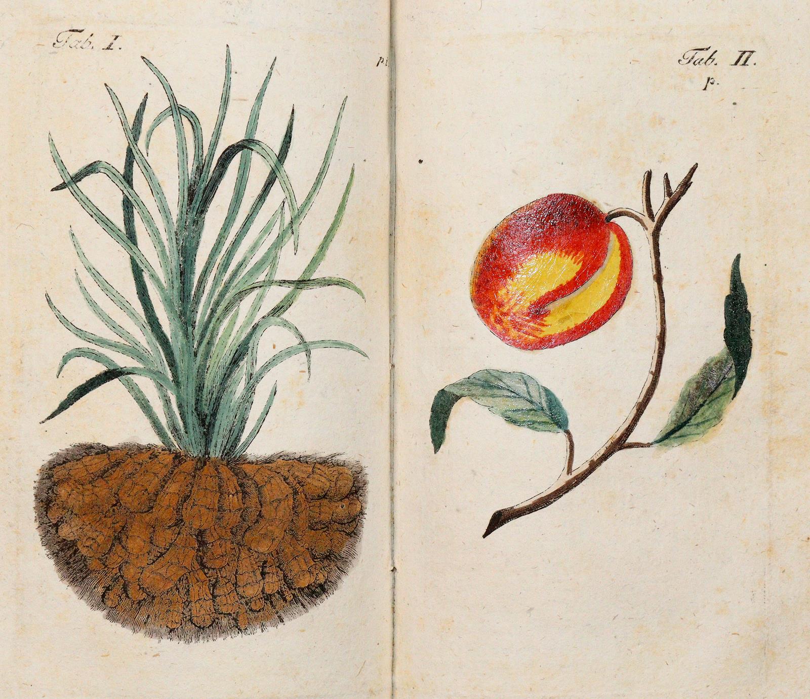 Auswahl neuer Erfindungen, | Bild Nr.3