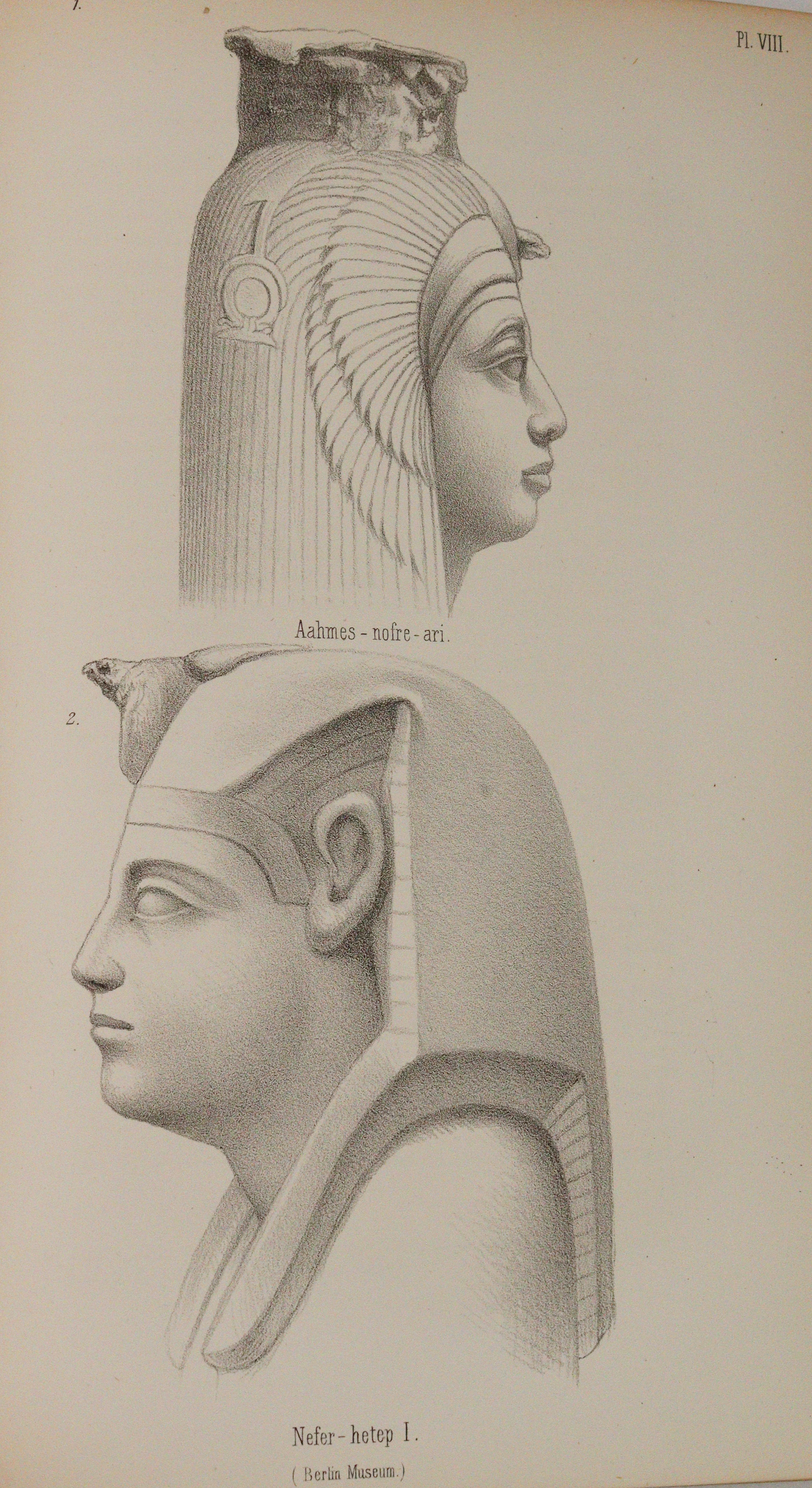 Indigenous Races | Bild Nr.4