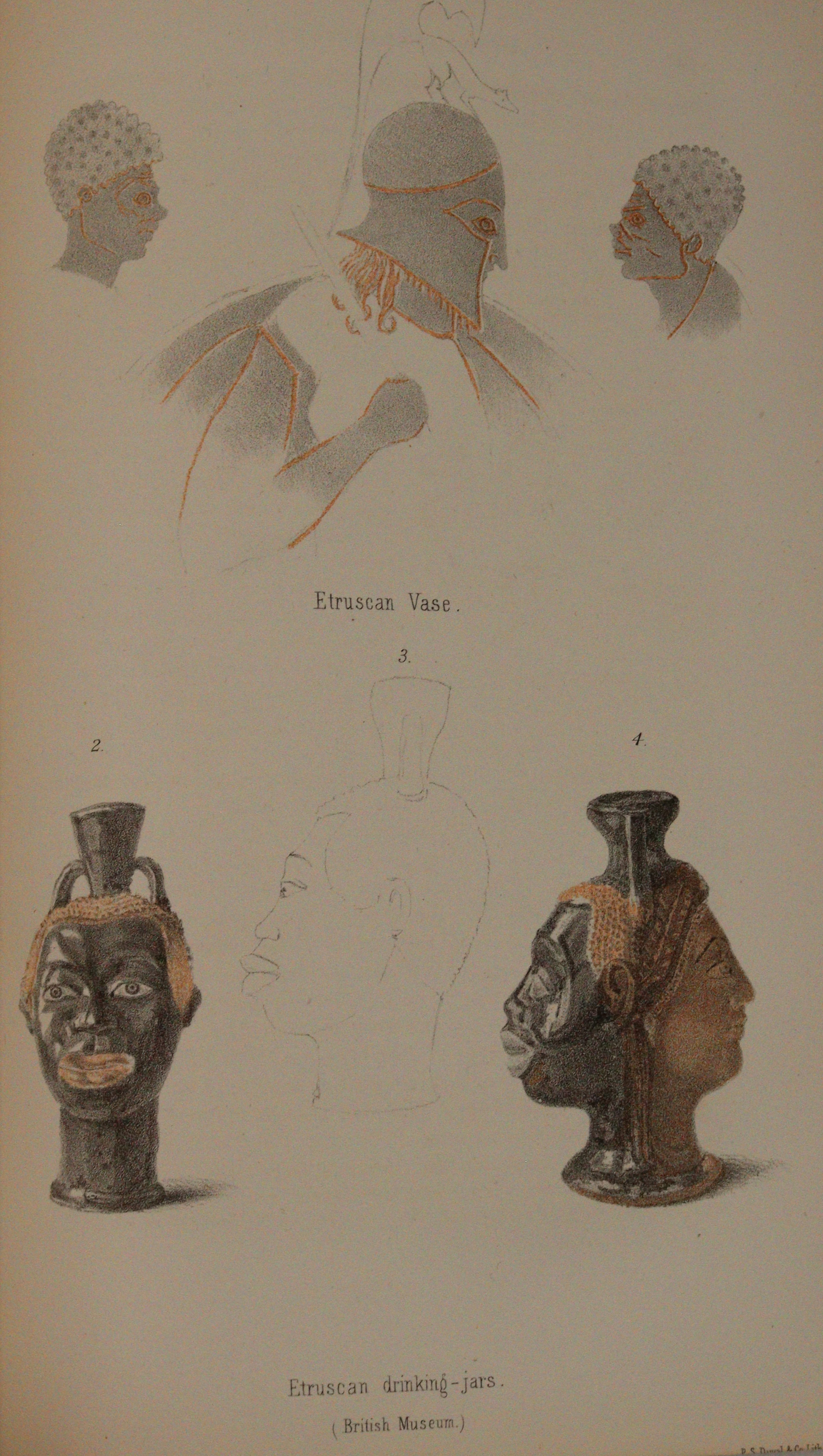 Indigenous Races | Bild Nr.5