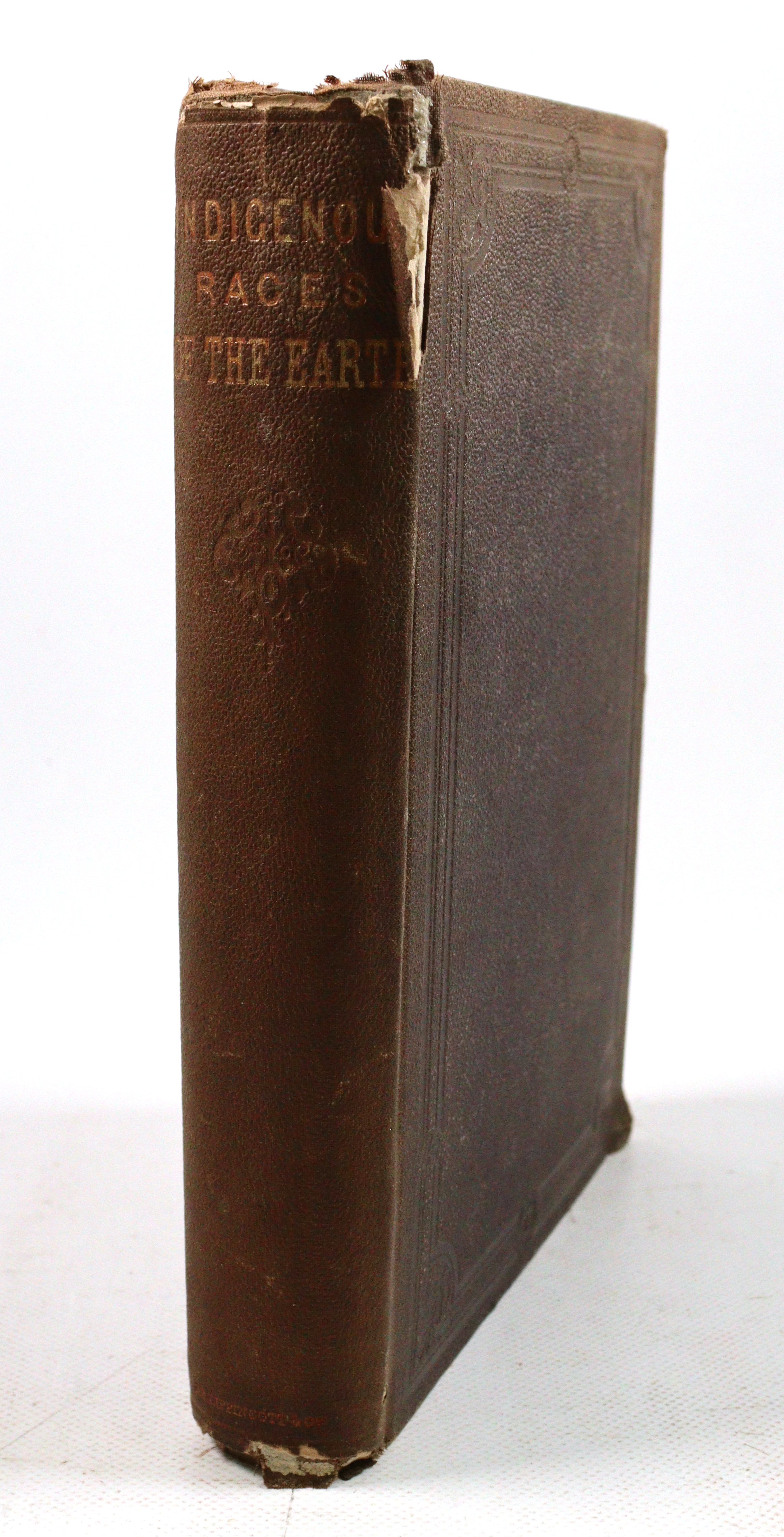 Indigenous Races | Bild Nr.6