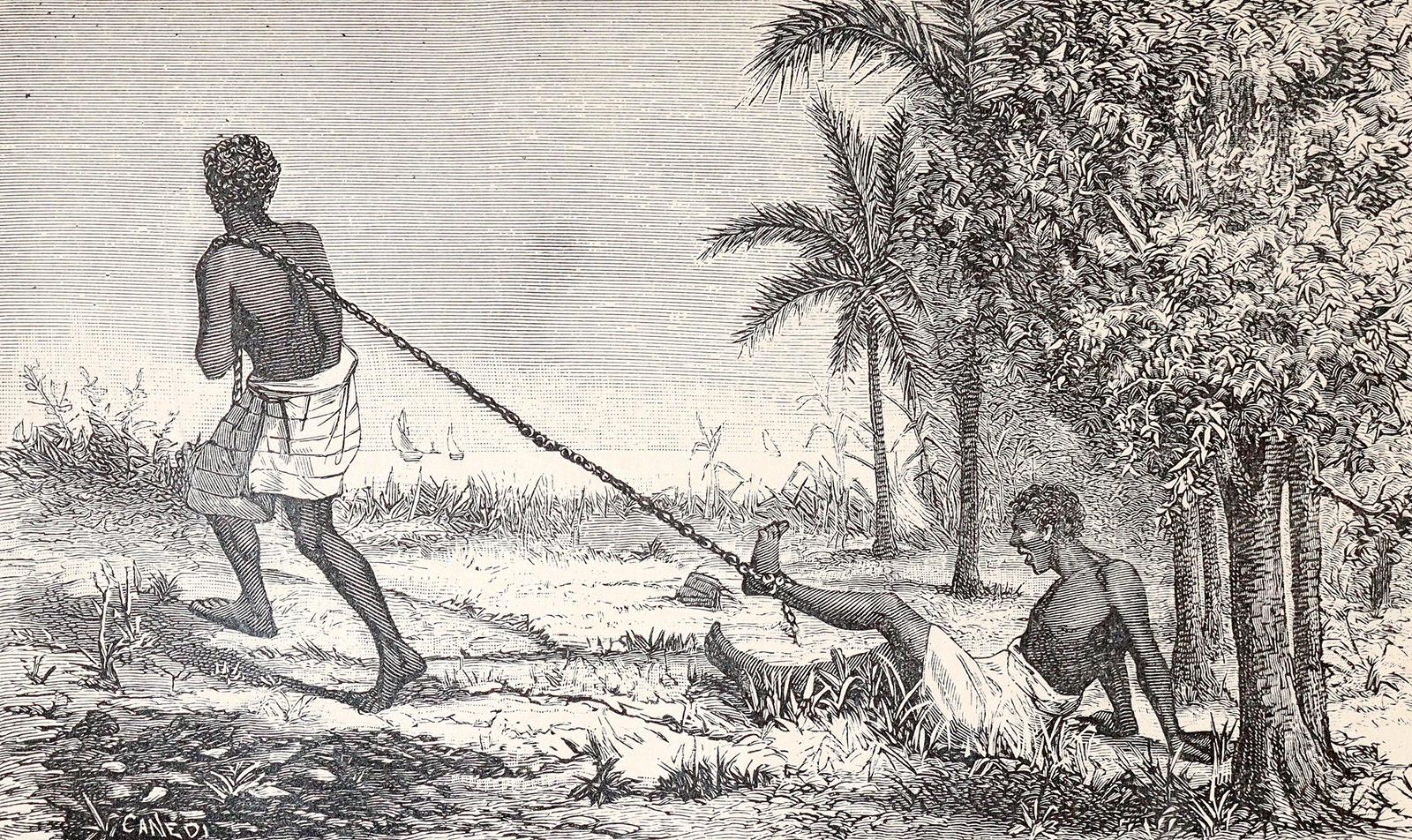 Le Roy,R.P. | Bild Nr.3