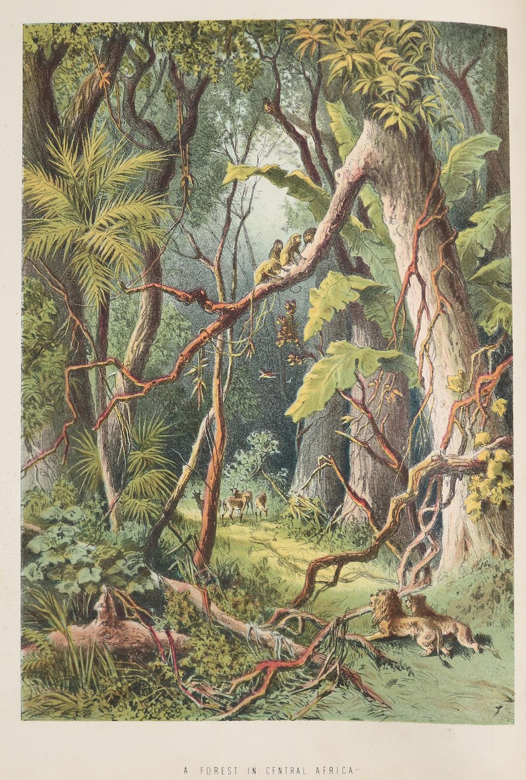 (Roberts,J.S.). | Bild Nr.1