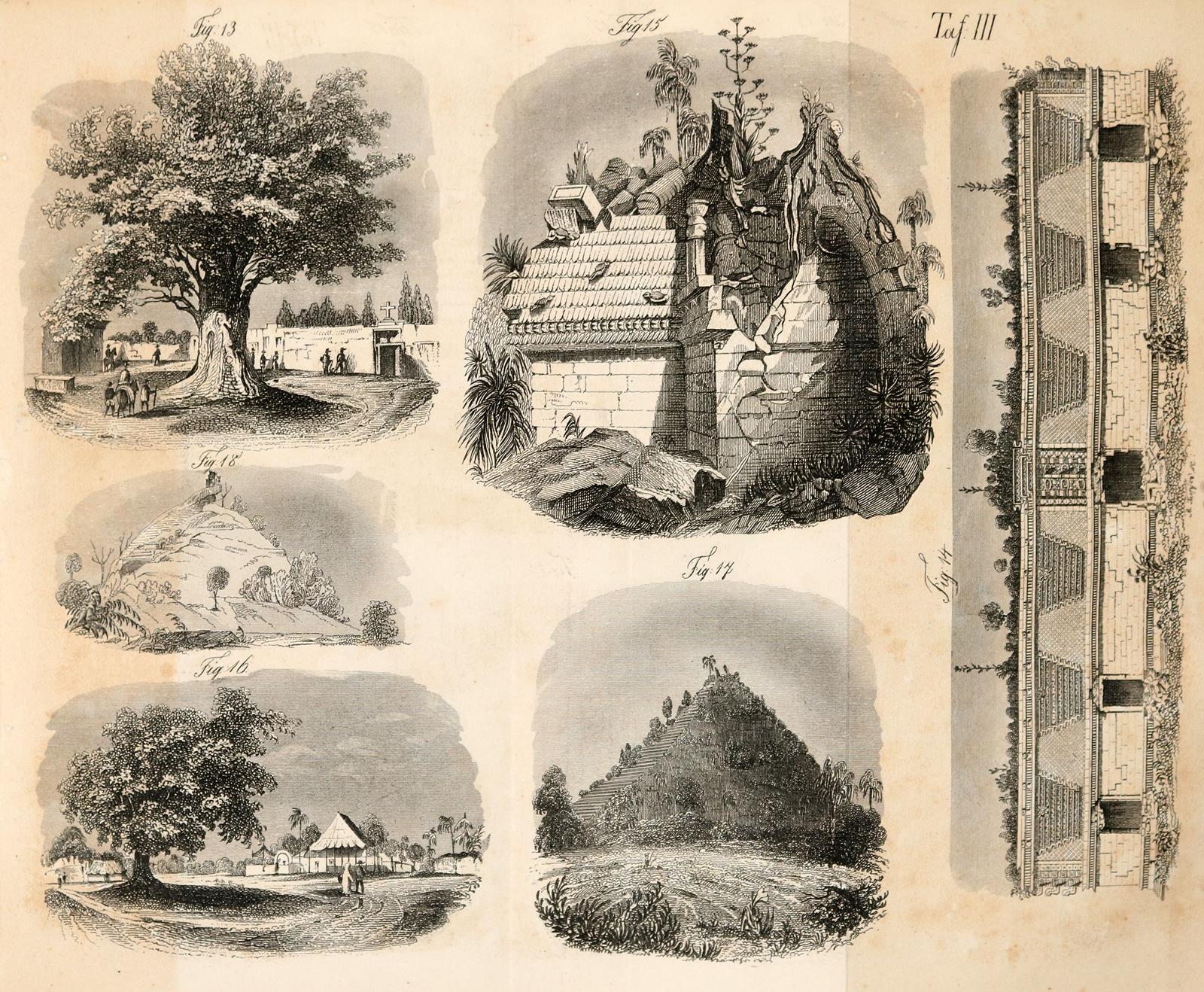 Stephens,J.L. | Bild Nr.6