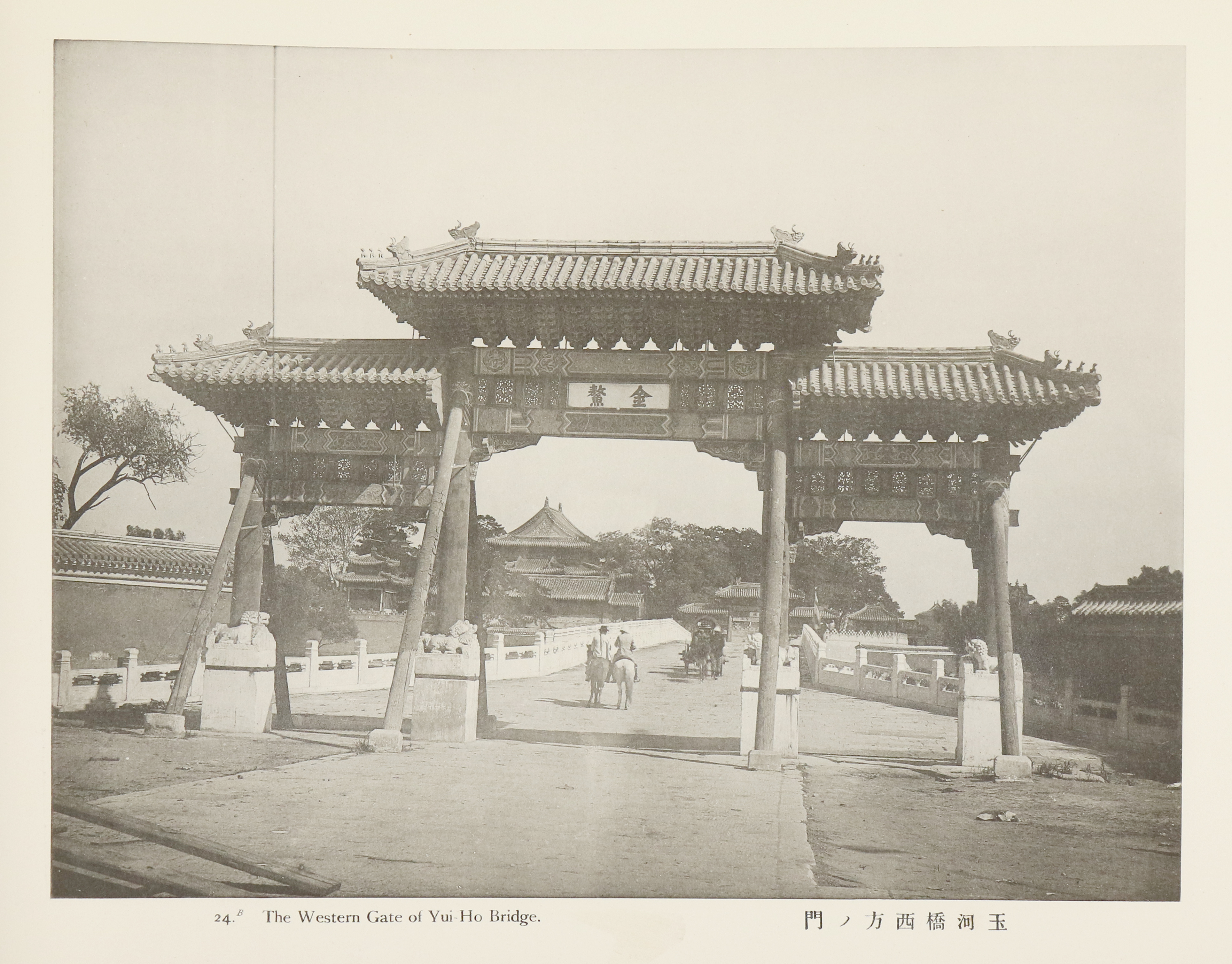 Yamamoto,S. | Bild Nr.4