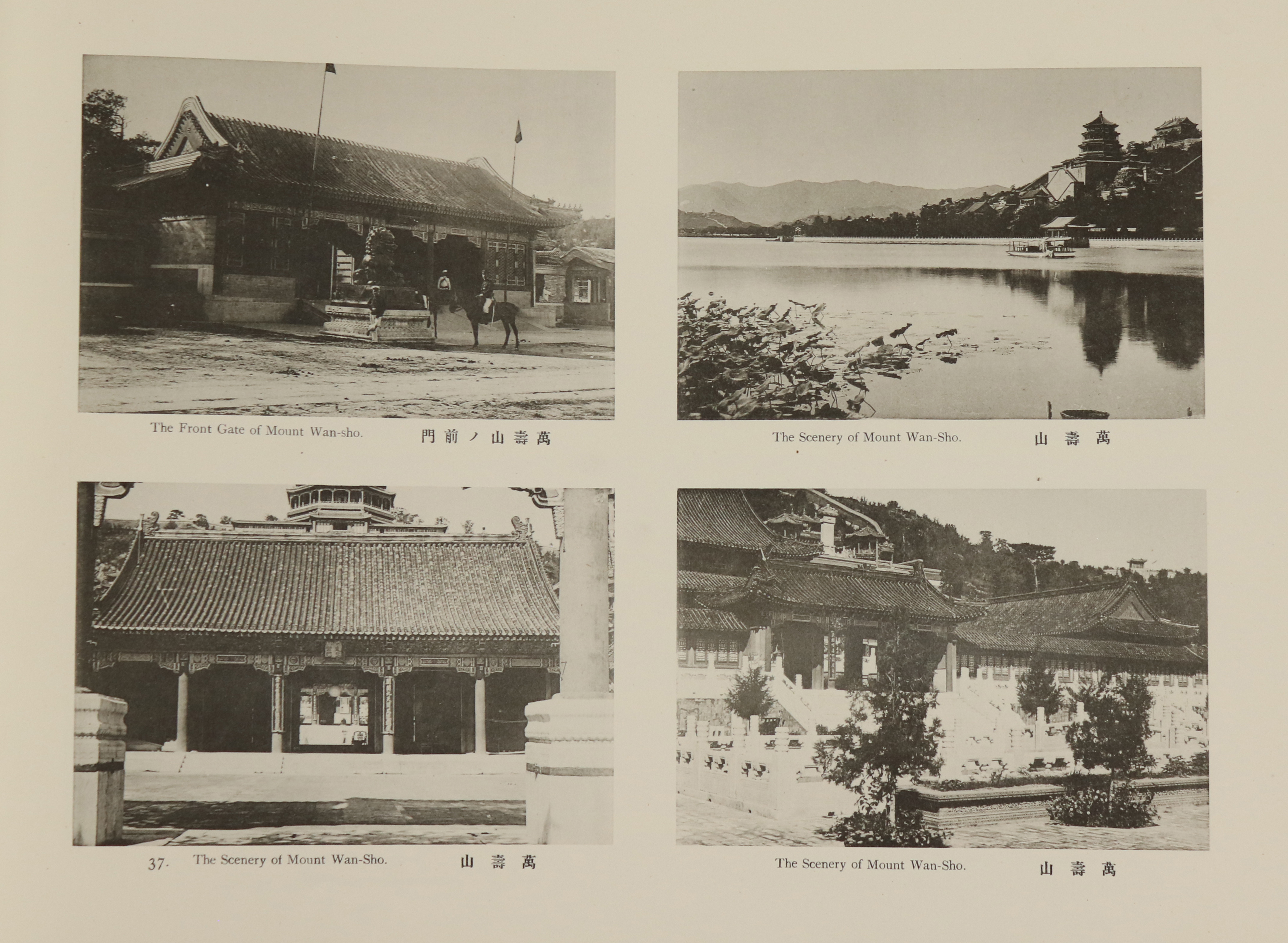 Yamamoto,S. | Bild Nr.5