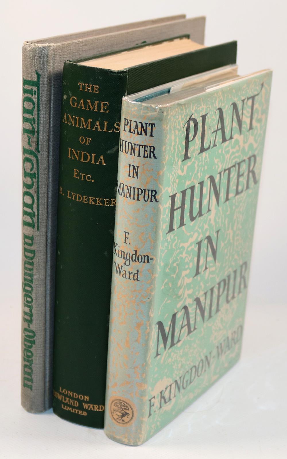 Dungern-Oberau,O.v. | Bild Nr.2