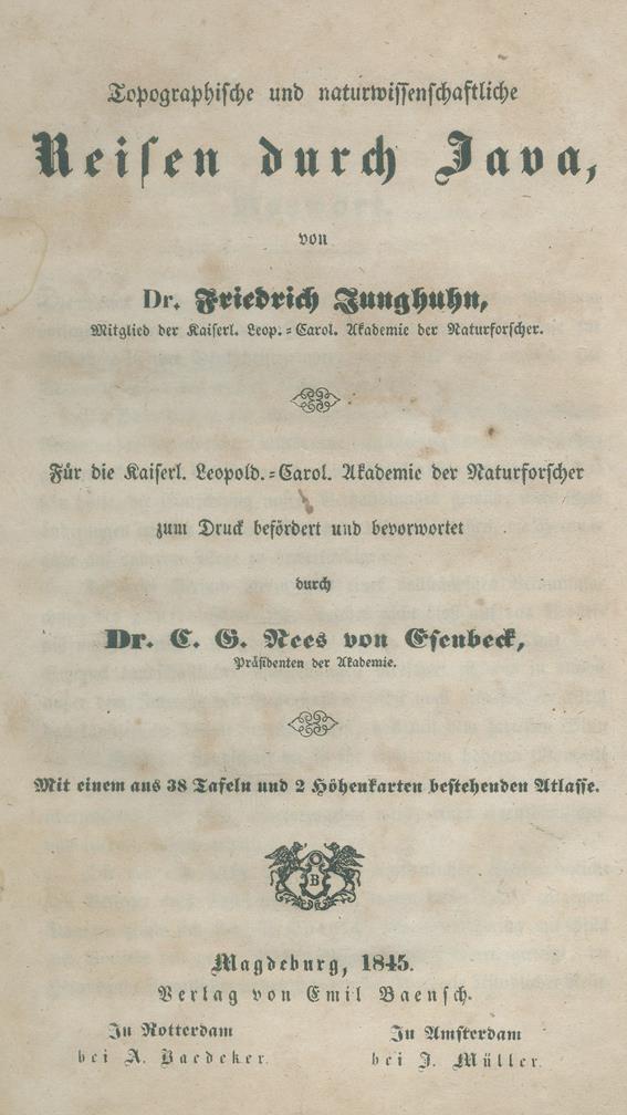 Junghuhn,F. | Bild Nr.1