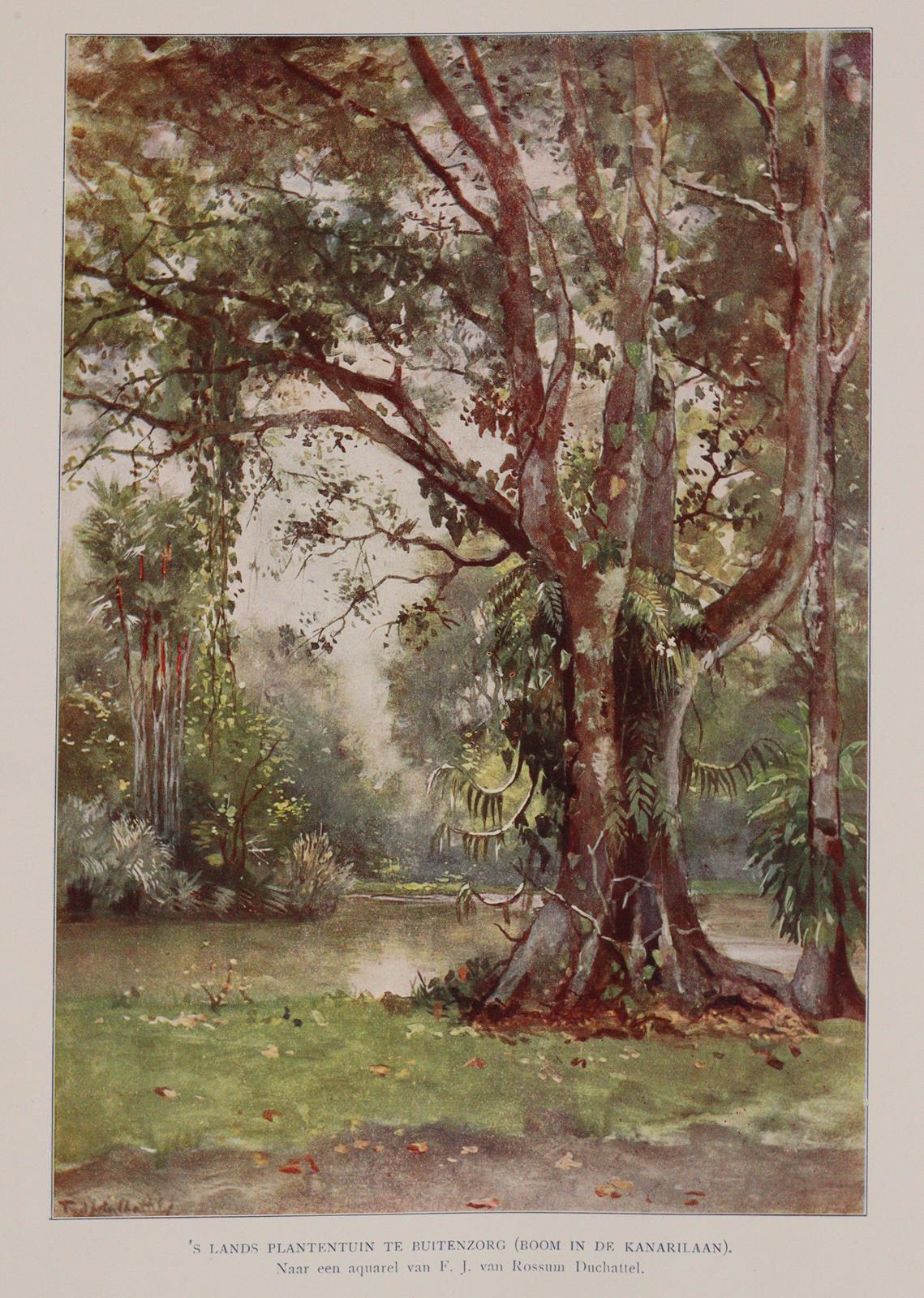 Rosenberg,C.B.H.v. | Bild Nr.2