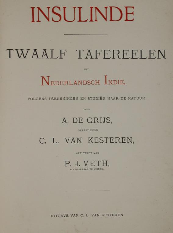 Veth,P.J. | Bild Nr.1