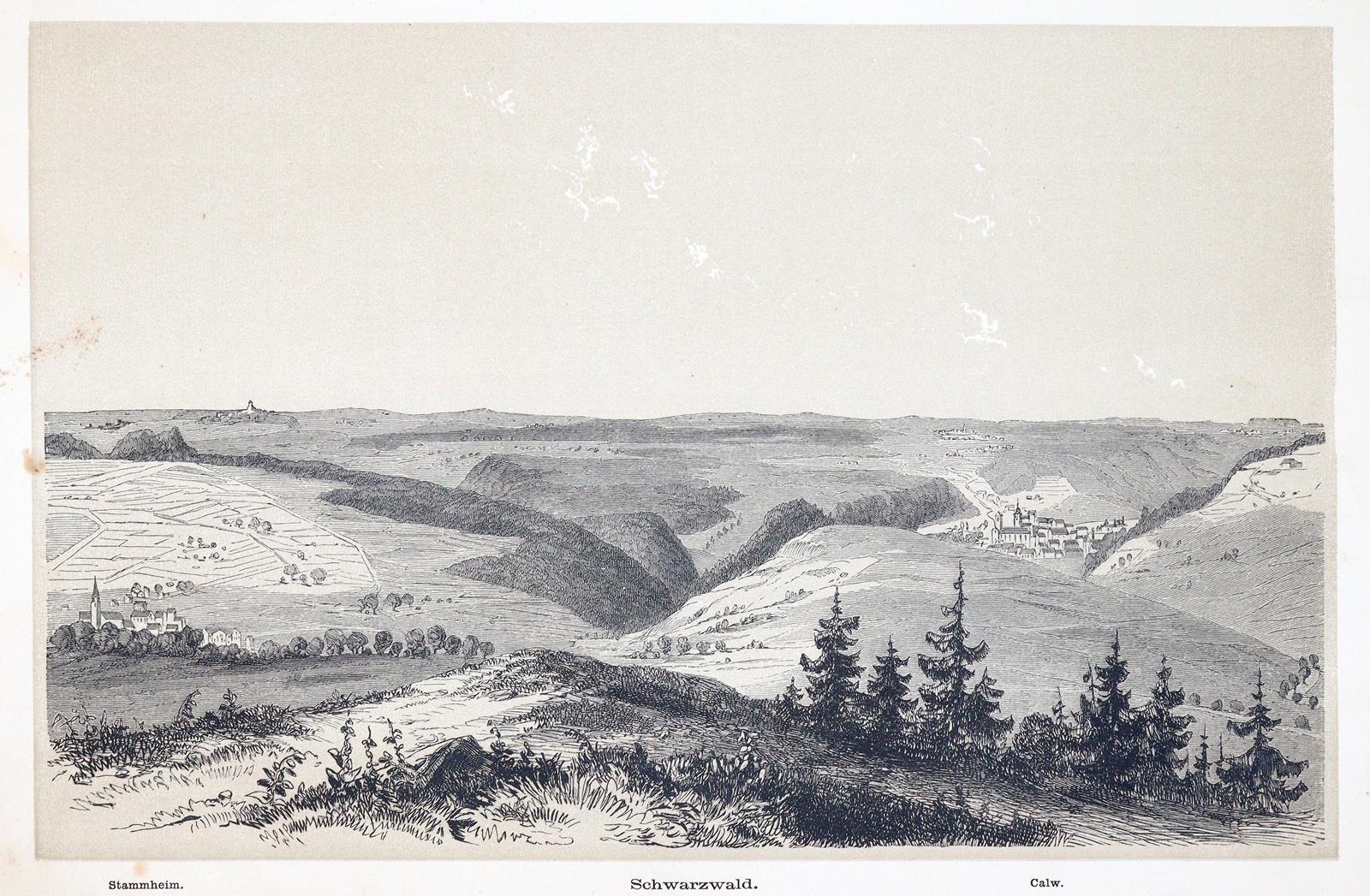 Griesinger,T. | Bild Nr.3