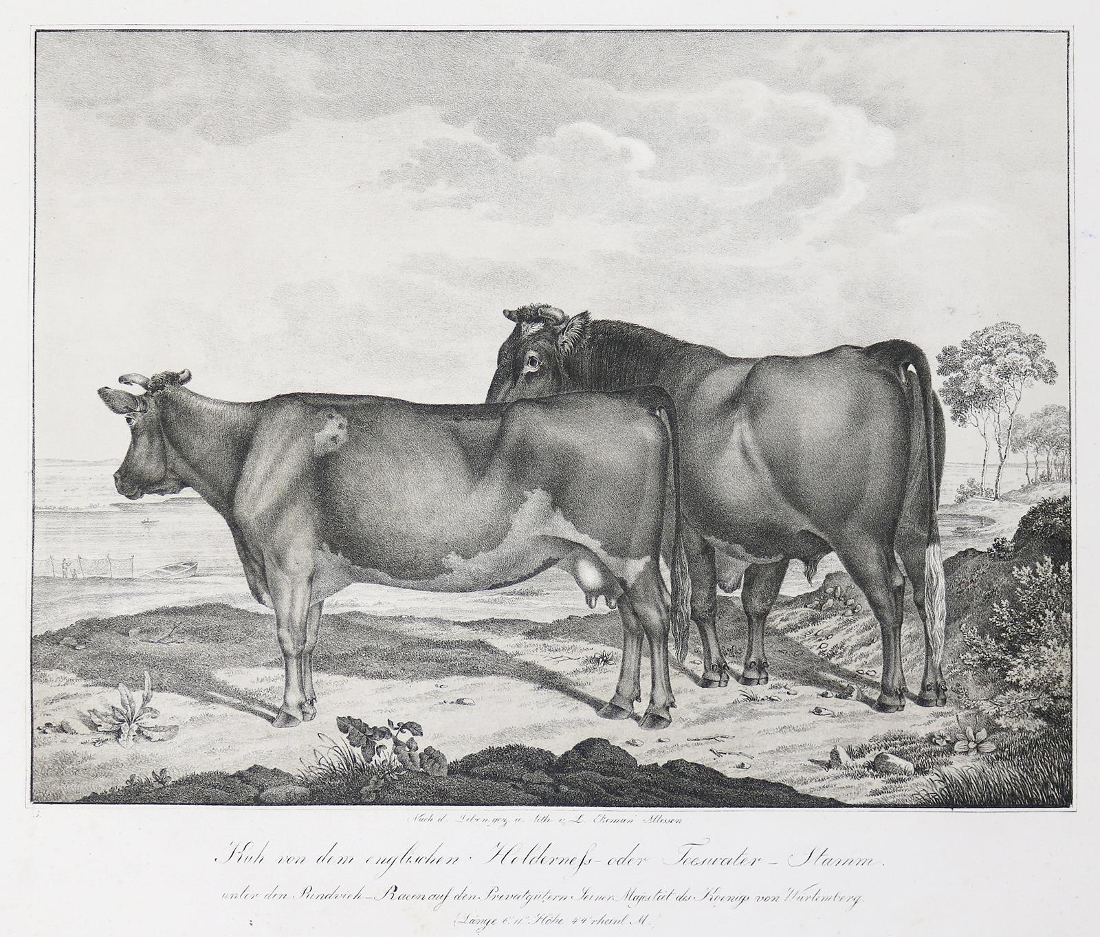 Weckherlin,A.v. | Bild Nr.1