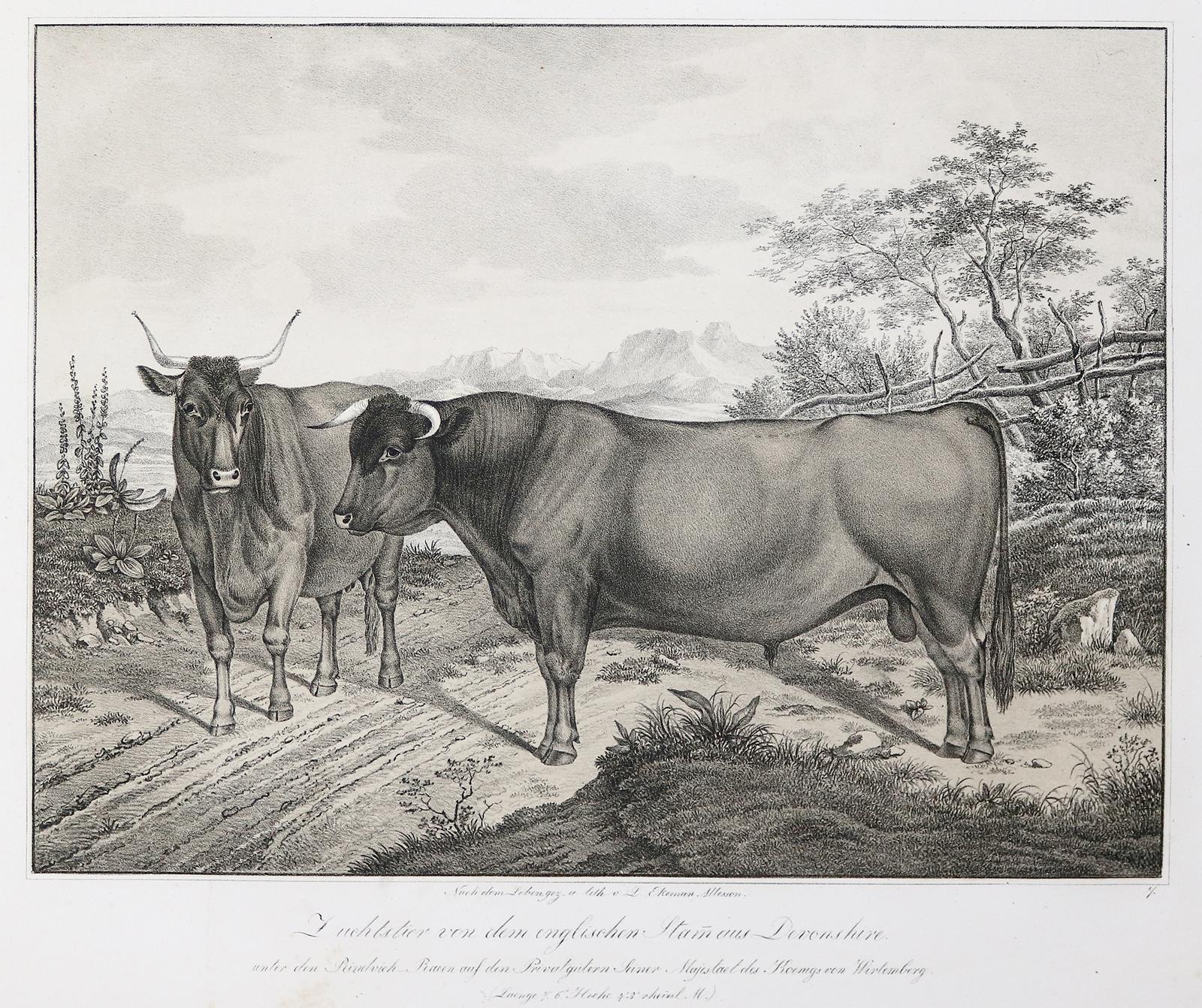 Weckherlin,A.v. | Bild Nr.2