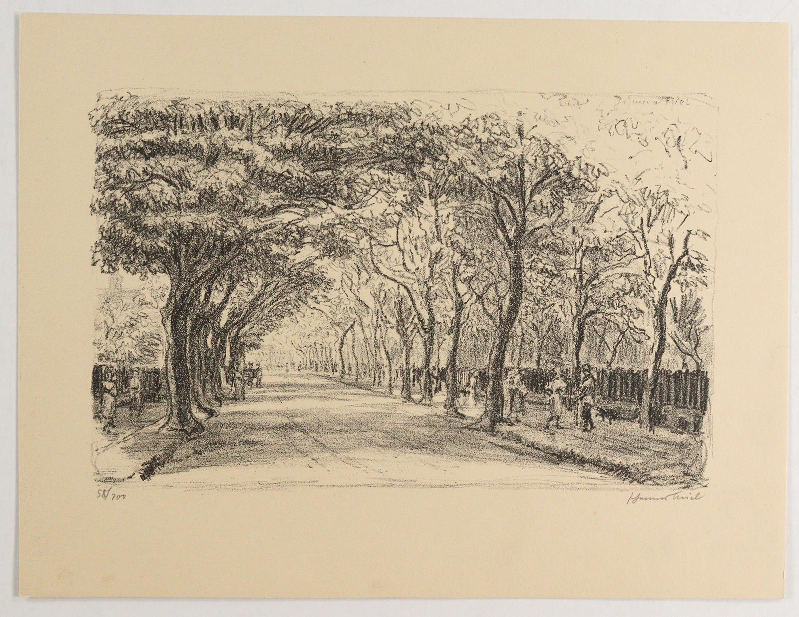 Thiel,J. | Bild Nr.4