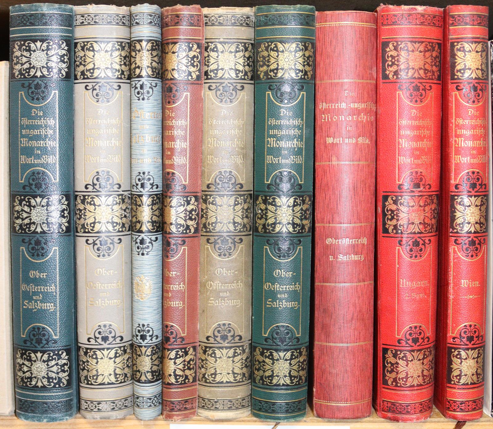 Österreischisch-Ungarische Monarchie in Wort und Bild, Die. | Bild Nr.3