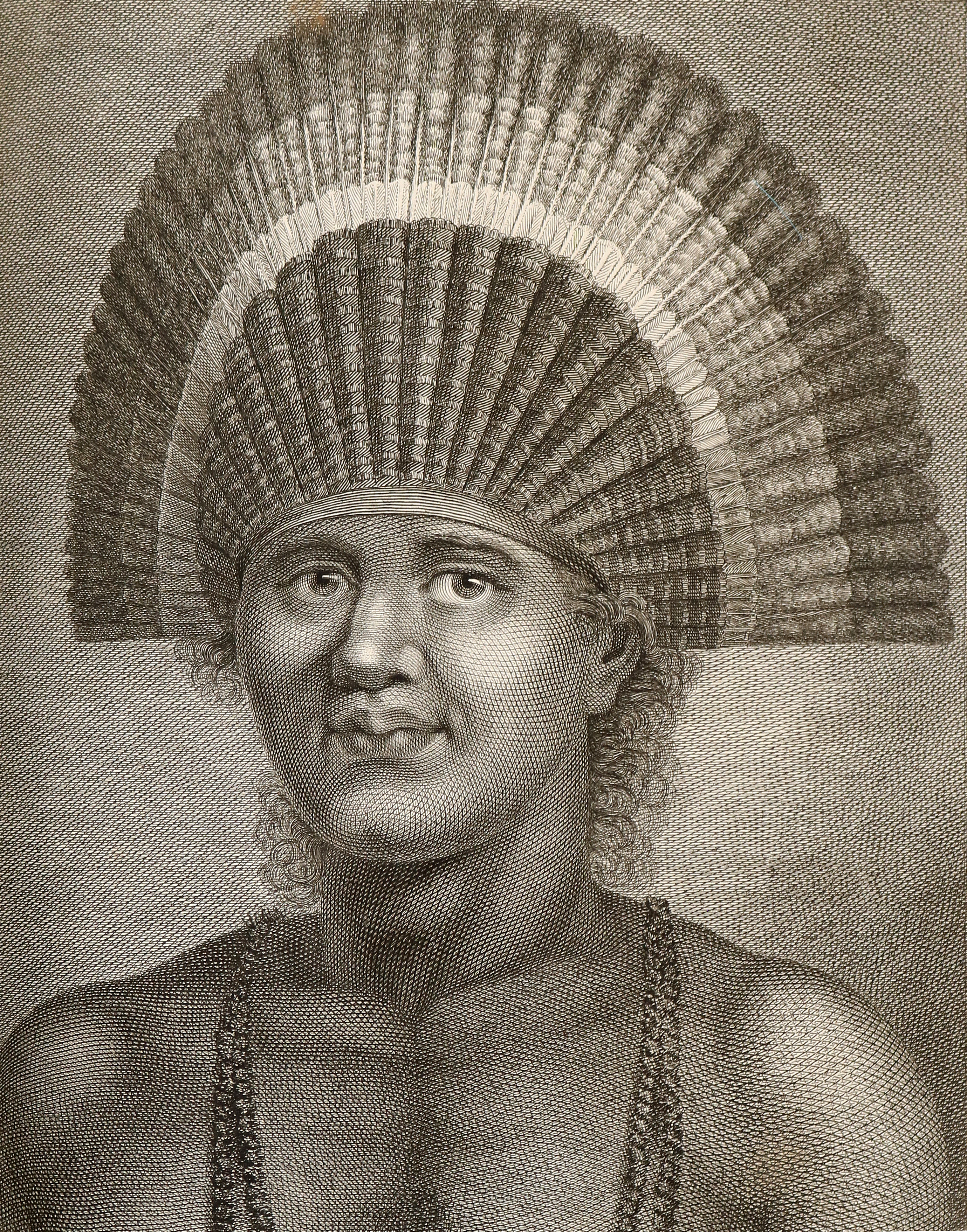 Forster,G. | Bild Nr.3