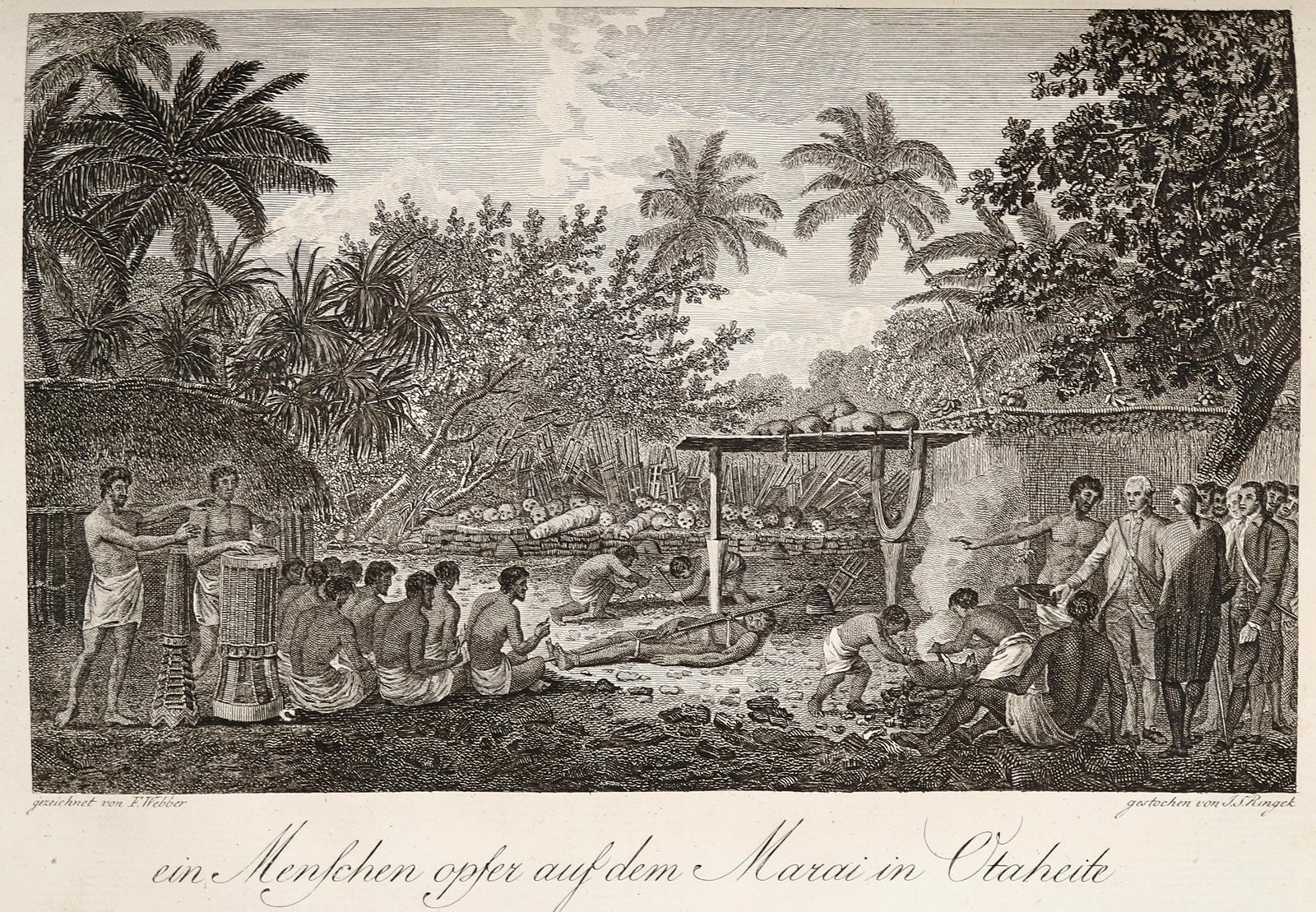 Forster,G. | Bild Nr.4