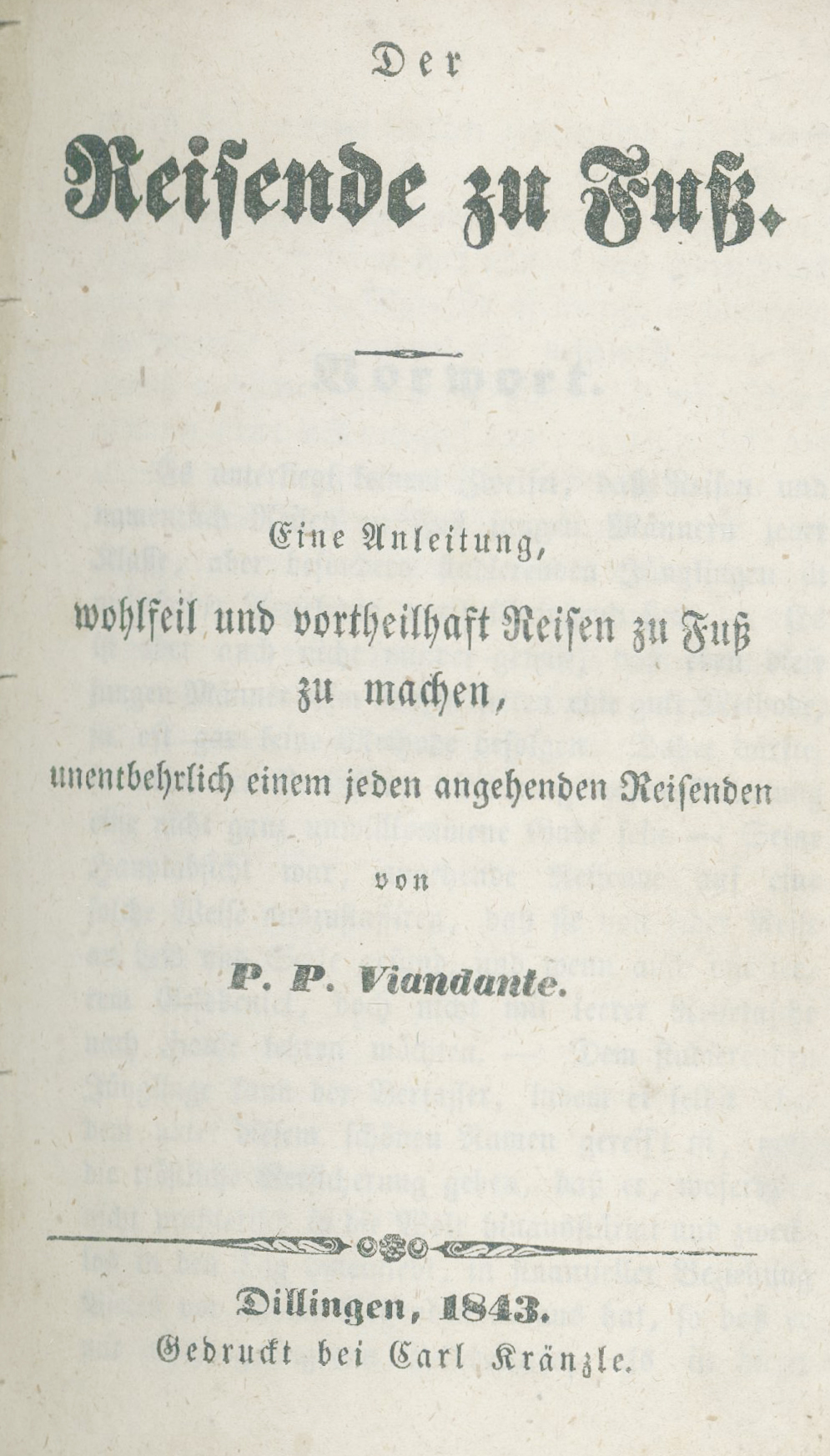 Viandante,P.P. | Bild Nr.1