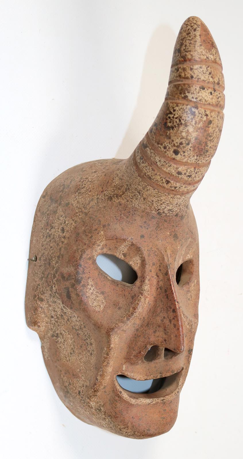 Maske, Larve | Bild Nr.1