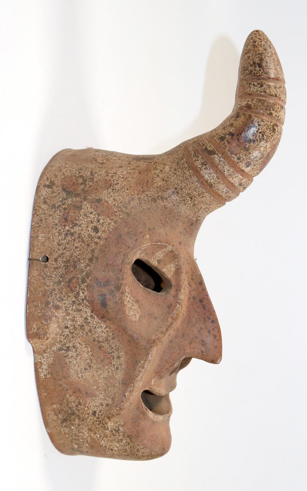 Maske, Larve | Bild Nr.2