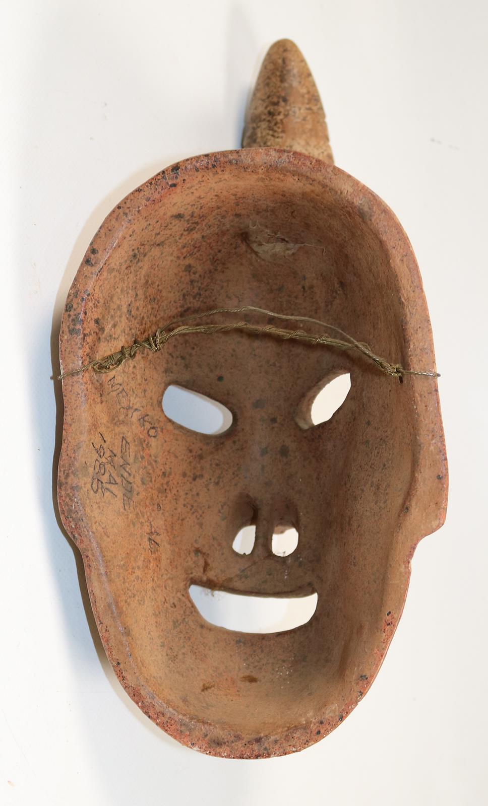 Maske, Larve | Bild Nr.4