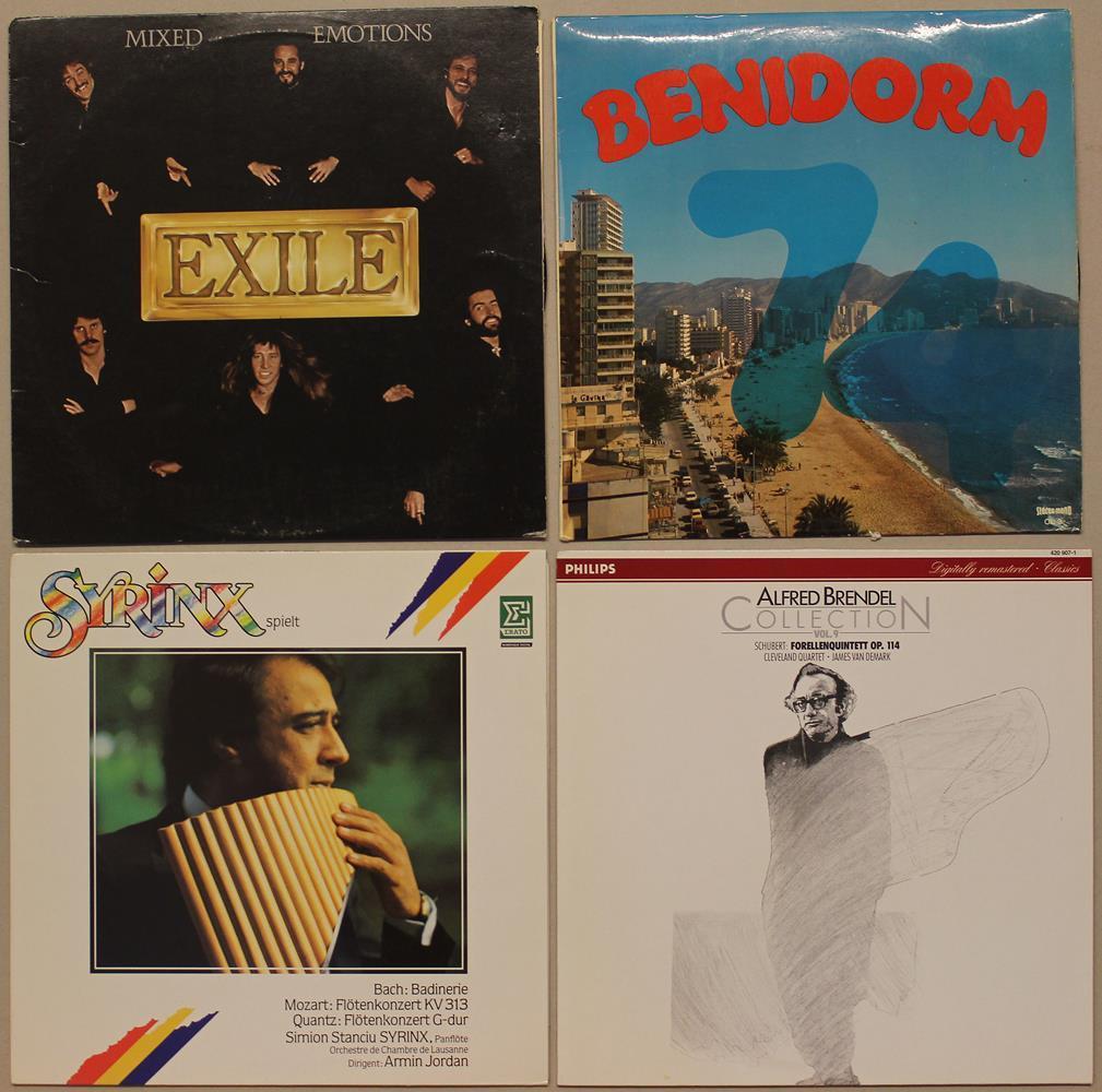 Schallplattensammlung. | Bild Nr.8