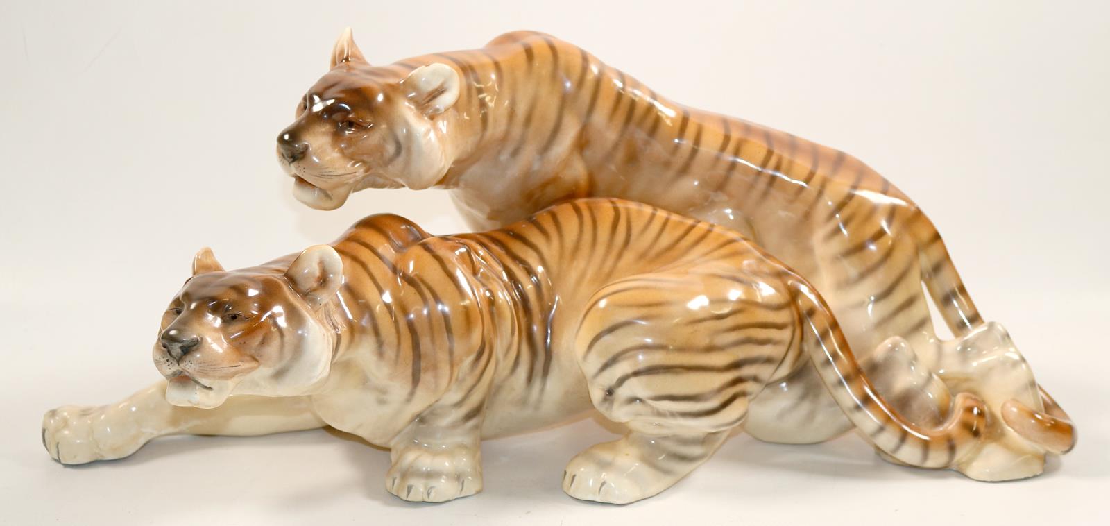 Tigerpaar. | Bild Nr.1