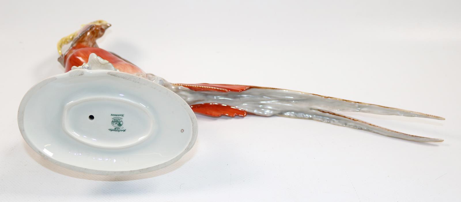 Hutschenreuther Fasan | Bild Nr.2