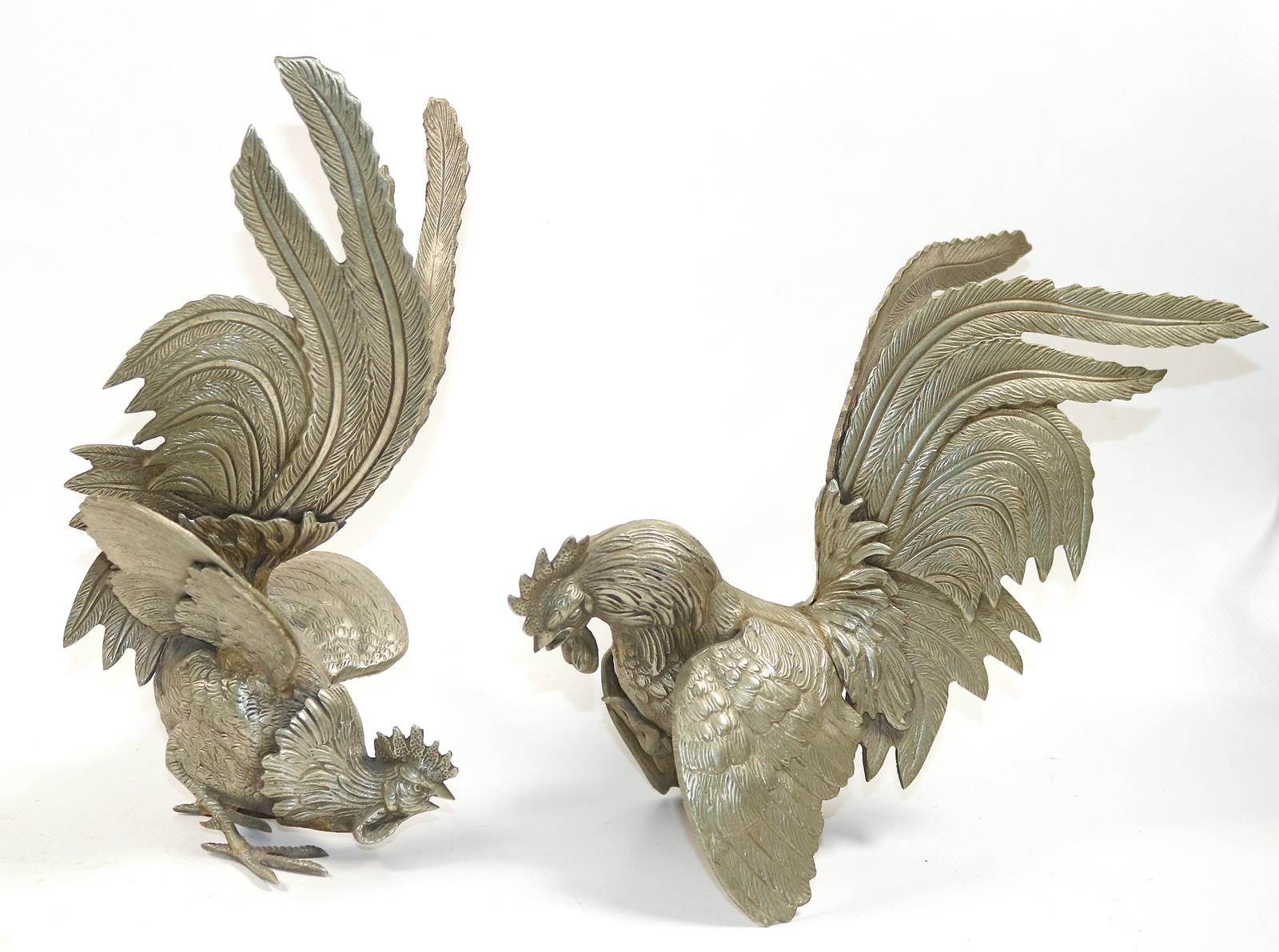 Kampfhähne, Frankreich | Bild Nr.1