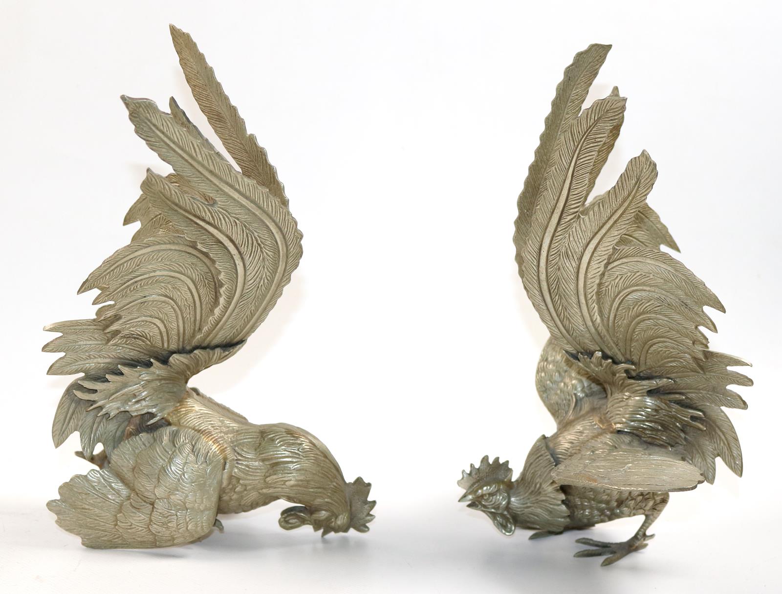 Kampfhähne, Frankreich | Bild Nr.2