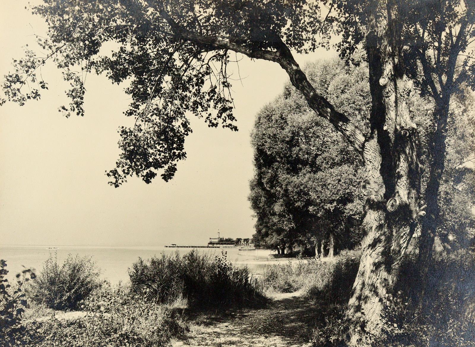 Zeppelin. | Bild Nr.2