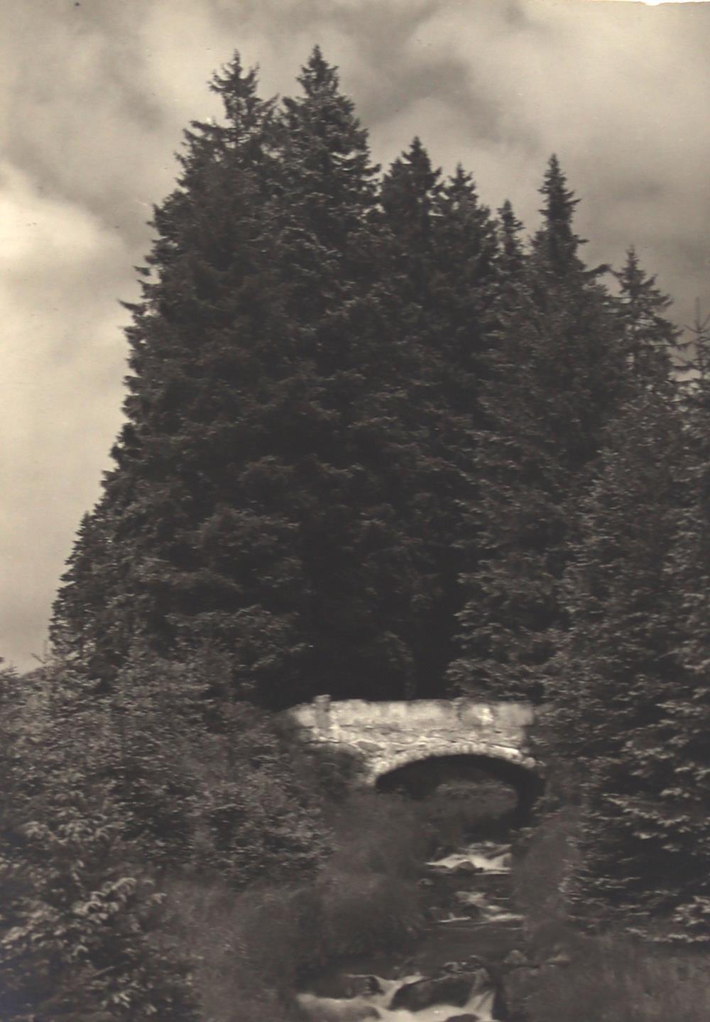 Rudolphi, Hans. | Bild Nr.4