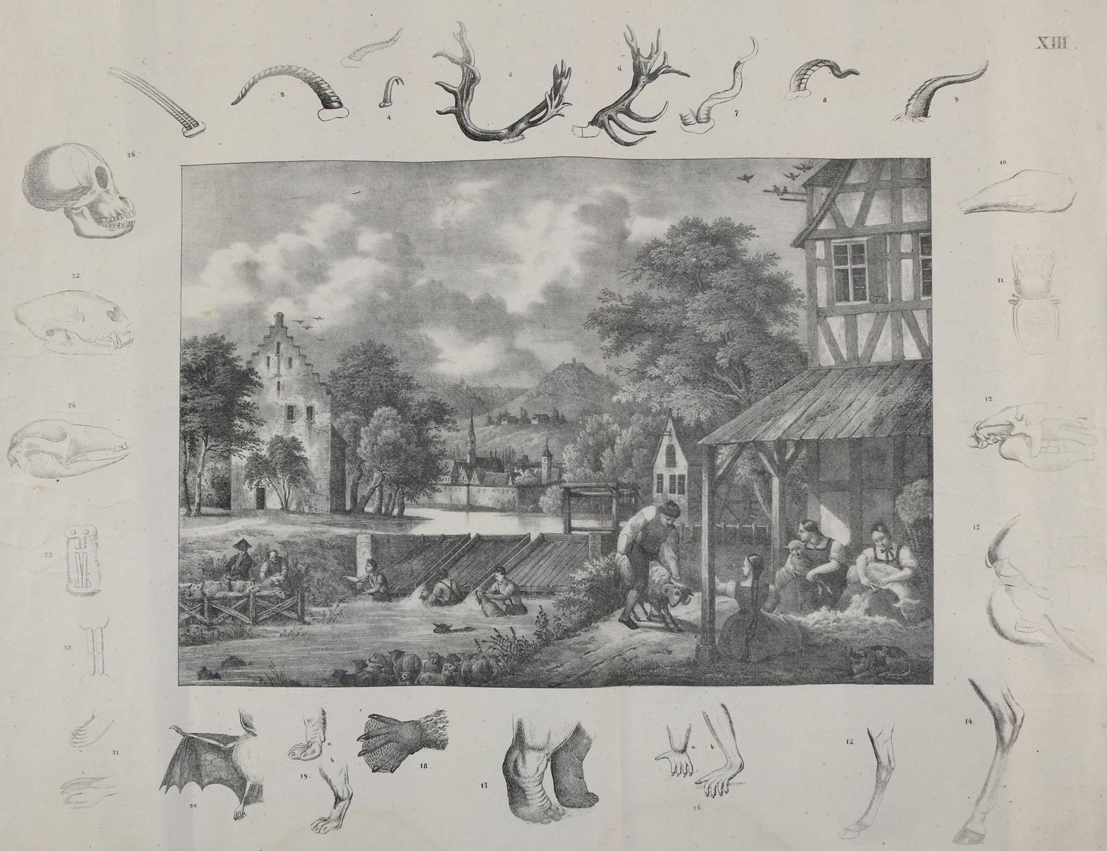 Landwirtschaft. | Bild Nr.1