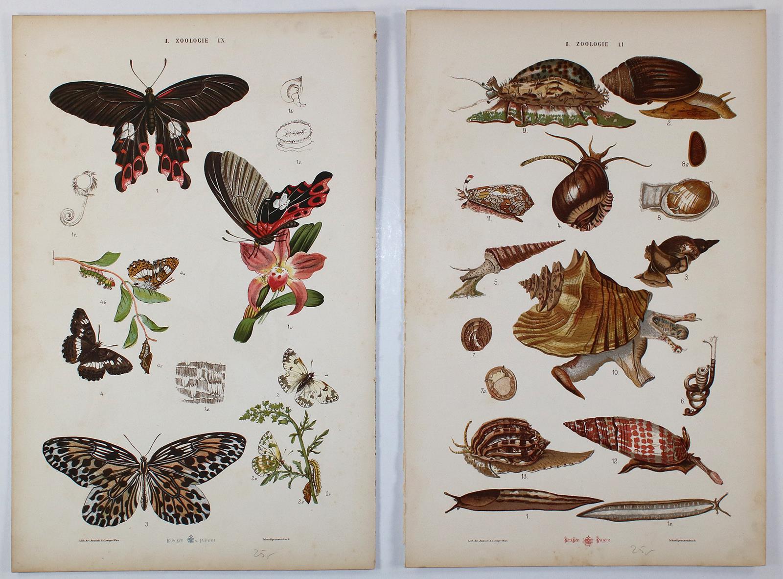 Arts aus moyen age, Les. | Bild Nr.5